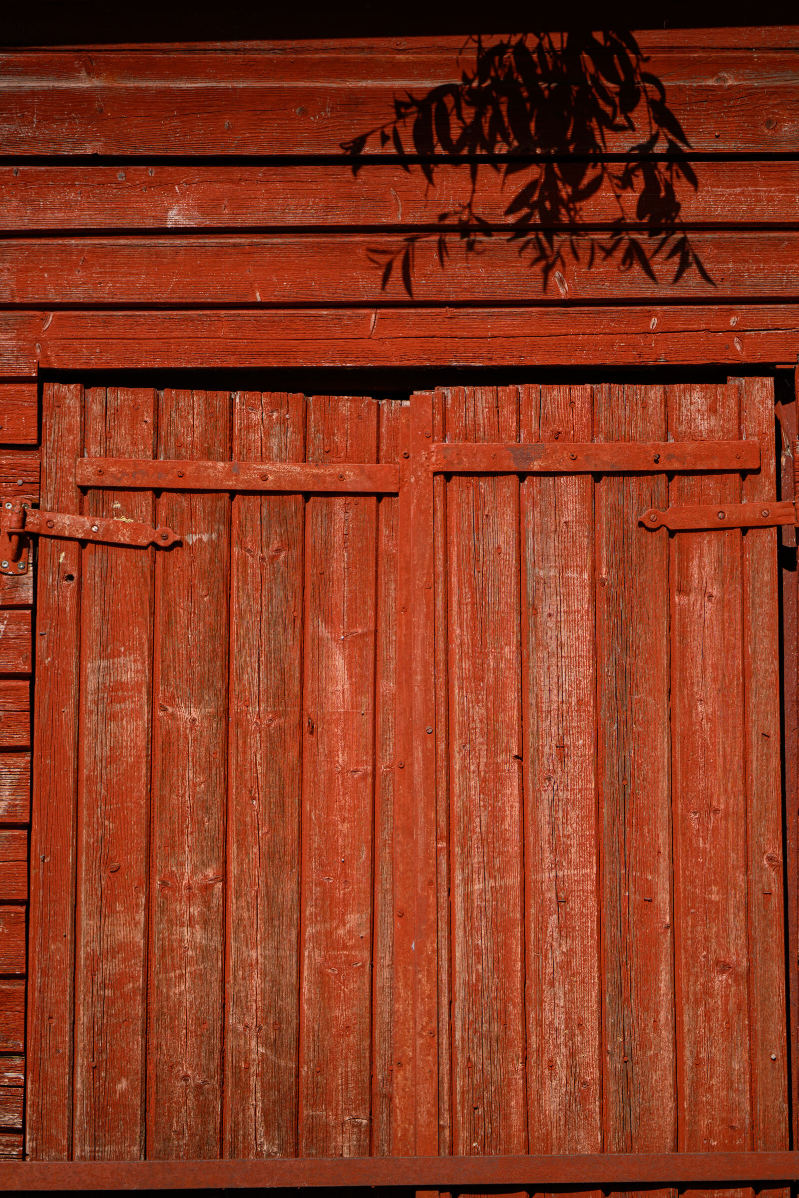 Nikon Z8 sample photo. Wooden doors photography
