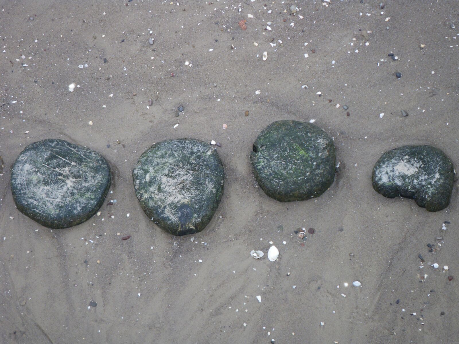 Pentax Optio W60 sample photo. Beach, stones, sand photography