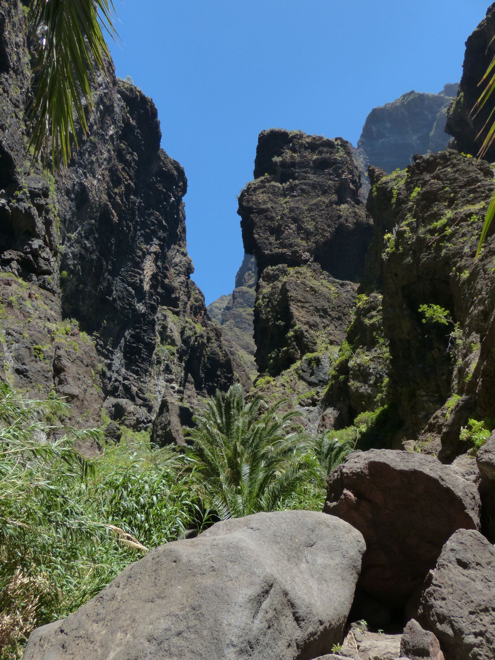 Panasonic Lumix DMC-FZ200 sample photo. Masca ravine, rock, gorge photography