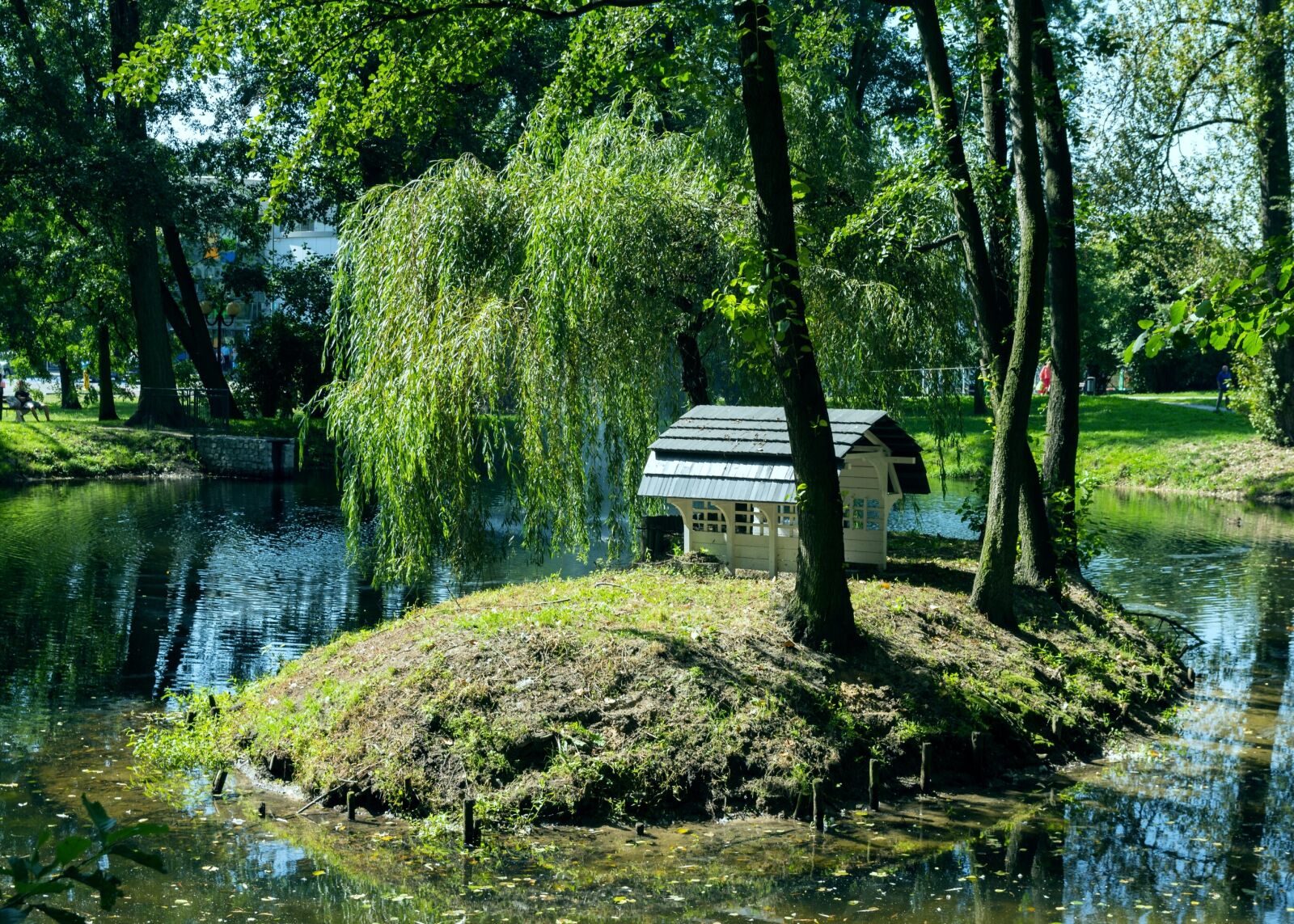 Sigma 17-50mm F2.8 EX DC HSM sample photo. Nature, tree, park photography