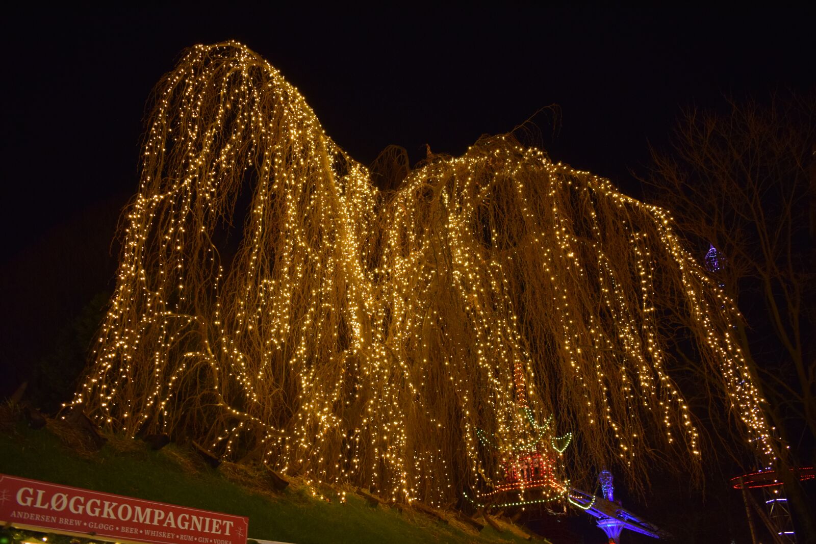 Nikon D5300 sample photo. Christmas, tree, decoration photography