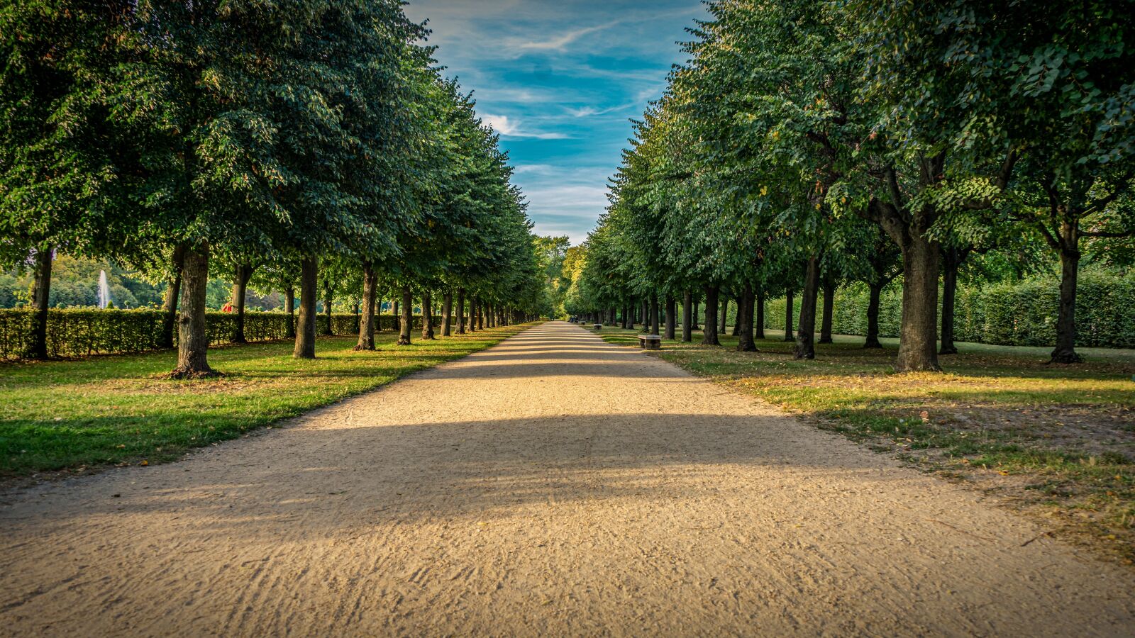 Sony a7 II + Sony FE 28-70mm F3.5-5.6 OSS sample photo. Castle park, away, avenue photography