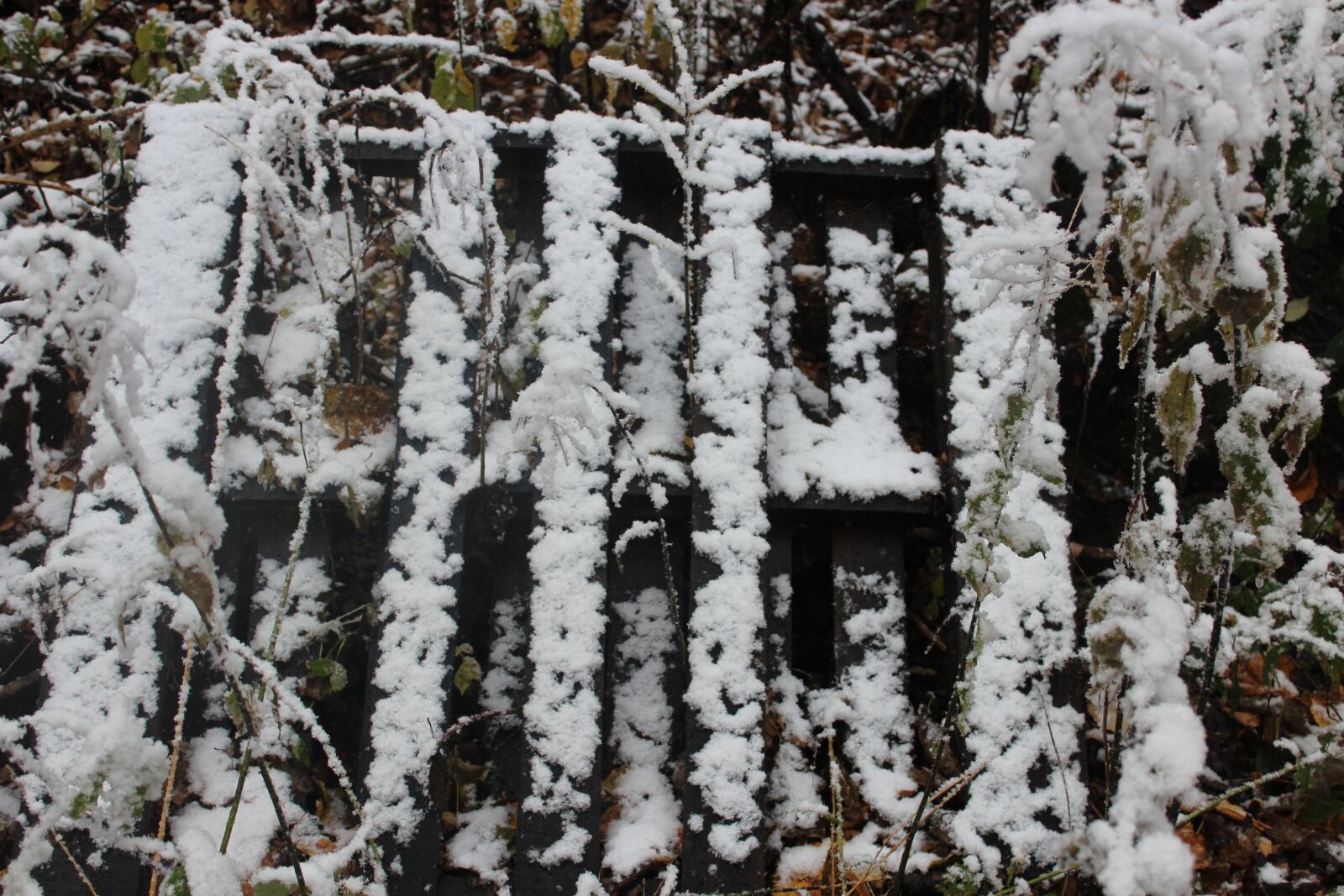 Canon EOS 1200D (EOS Rebel T5 / EOS Kiss X70 / EOS Hi) sample photo. Snow, nature, outside photography