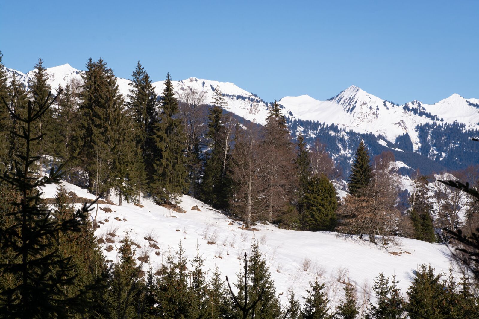 Nikon D7100 sample photo. Landscape, winter, nature photography