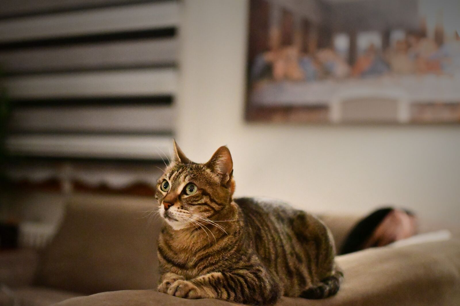 Nikon D7500 sample photo