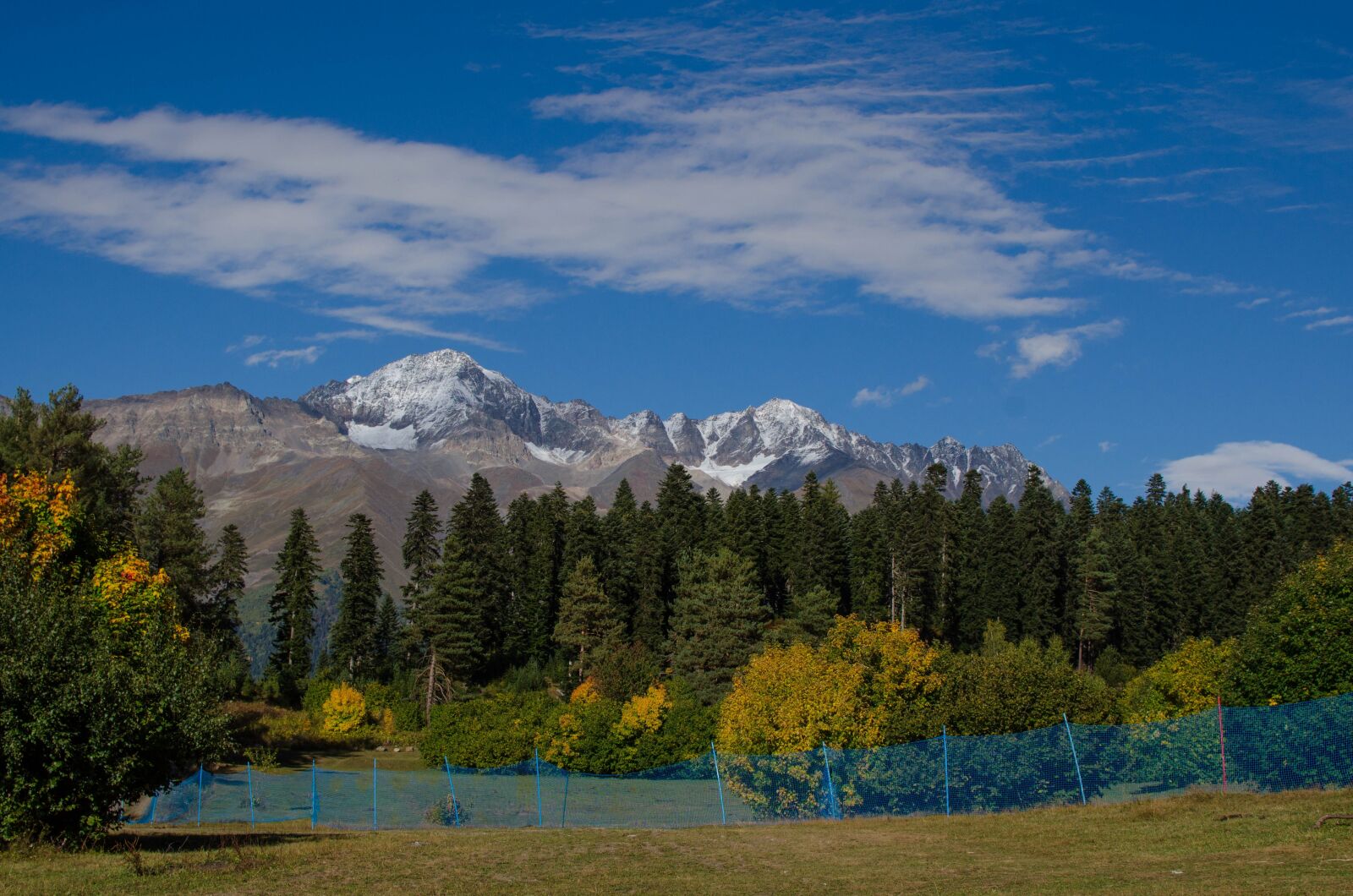 Nikon D5100 sample photo. Georgia, svaneti, forest photography