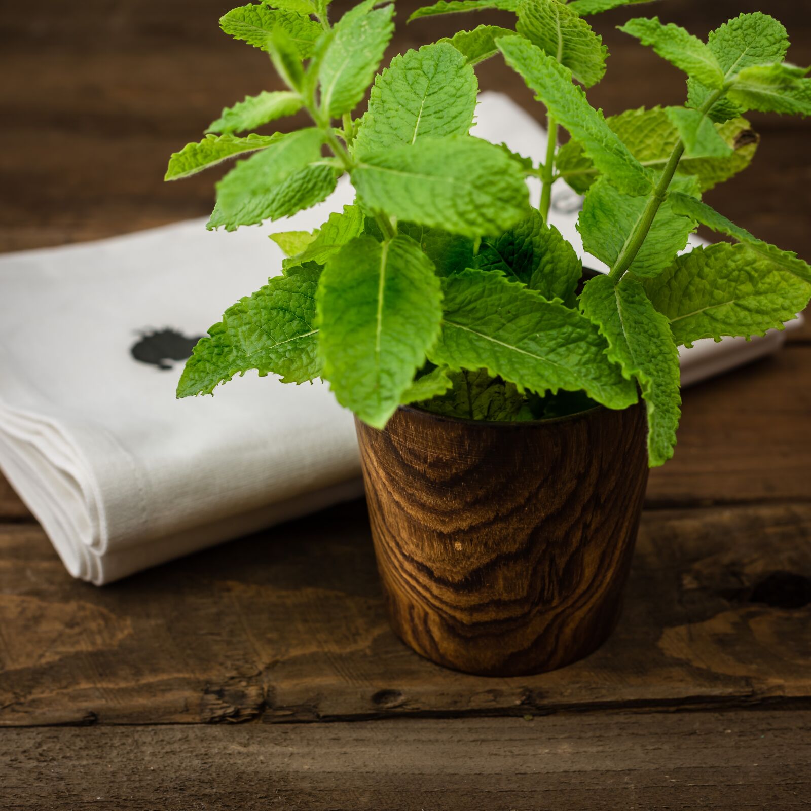Nikon D810 sample photo. Herbs, wood, dish photography