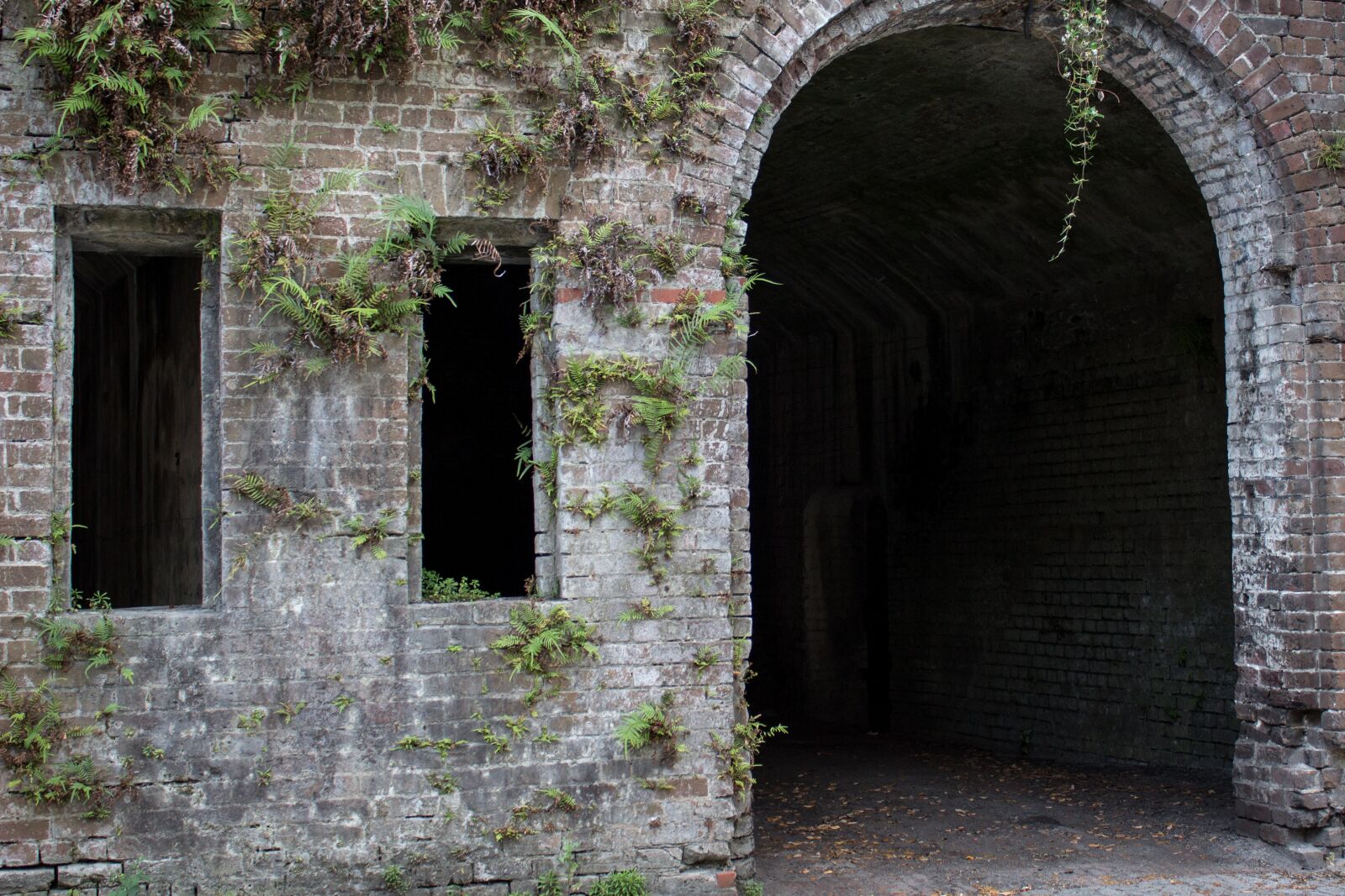Canon EOS 600D (Rebel EOS T3i / EOS Kiss X5) sample photo. Arch, brick, fern photography