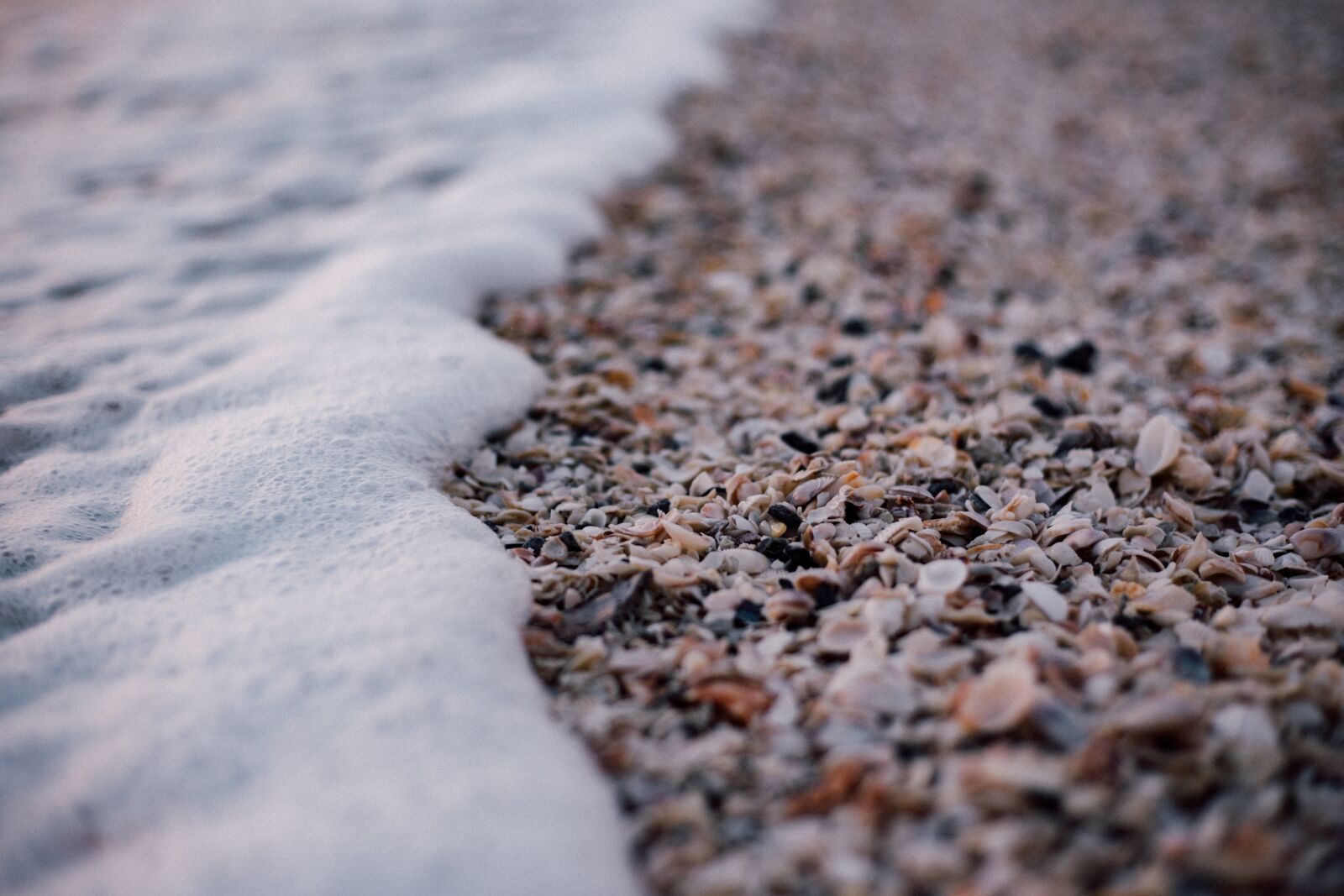 Canon EOS 6D + Canon EF 50mm F1.8 STM sample photo. Nature, coast, beach photography