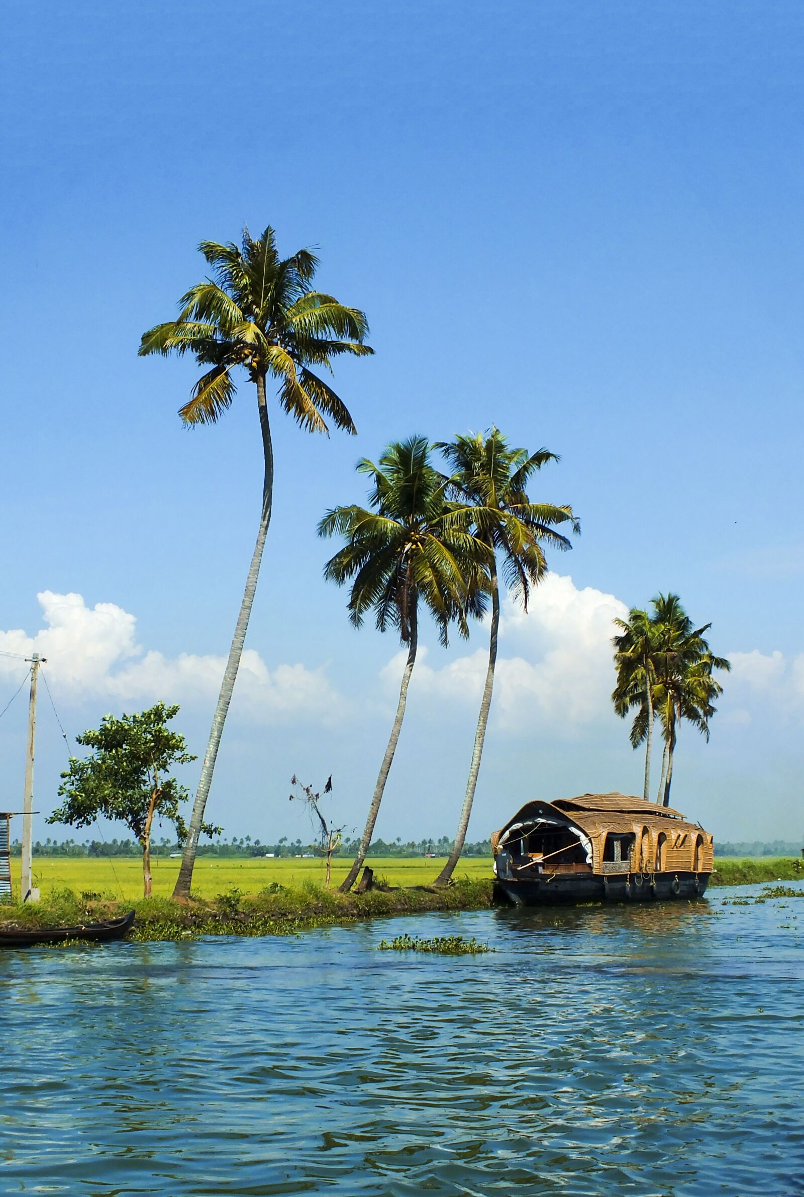 Fujifilm FinePix HS30EXR sample photo. Lake, alleppey, kerala photography