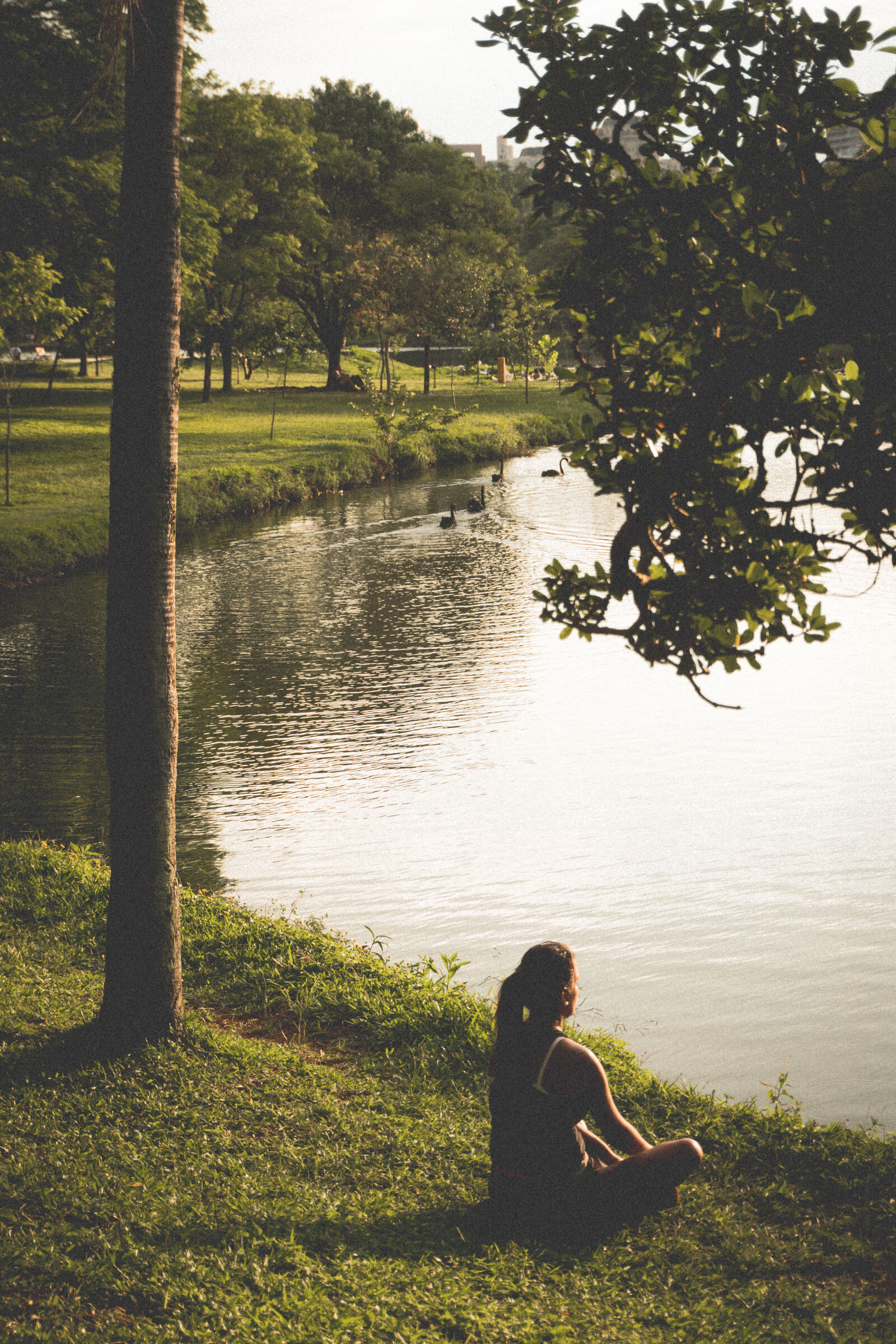 Sony a6300 sample photo. Woman, sitting, on, grass photography