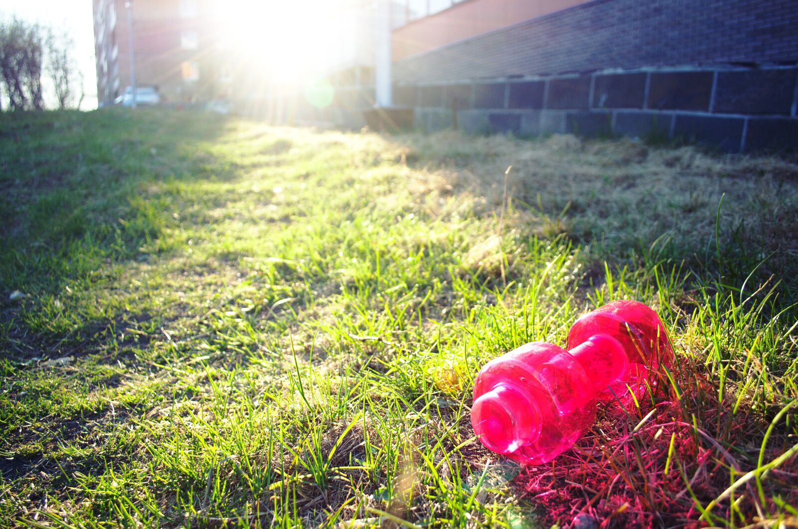 Nikon D3100 sample photo. Grass, dumbbell, shaker photography