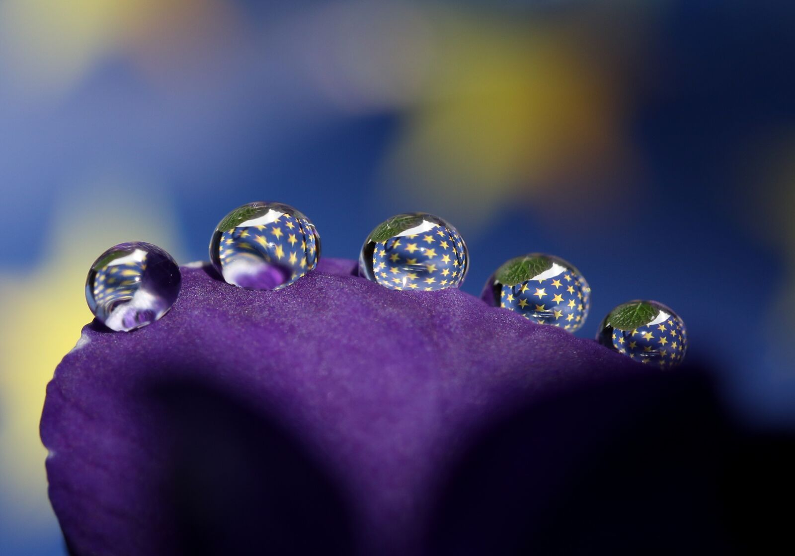 Canon EF-S 60mm F2.8 Macro USM sample photo. Drops, water, macro photography
