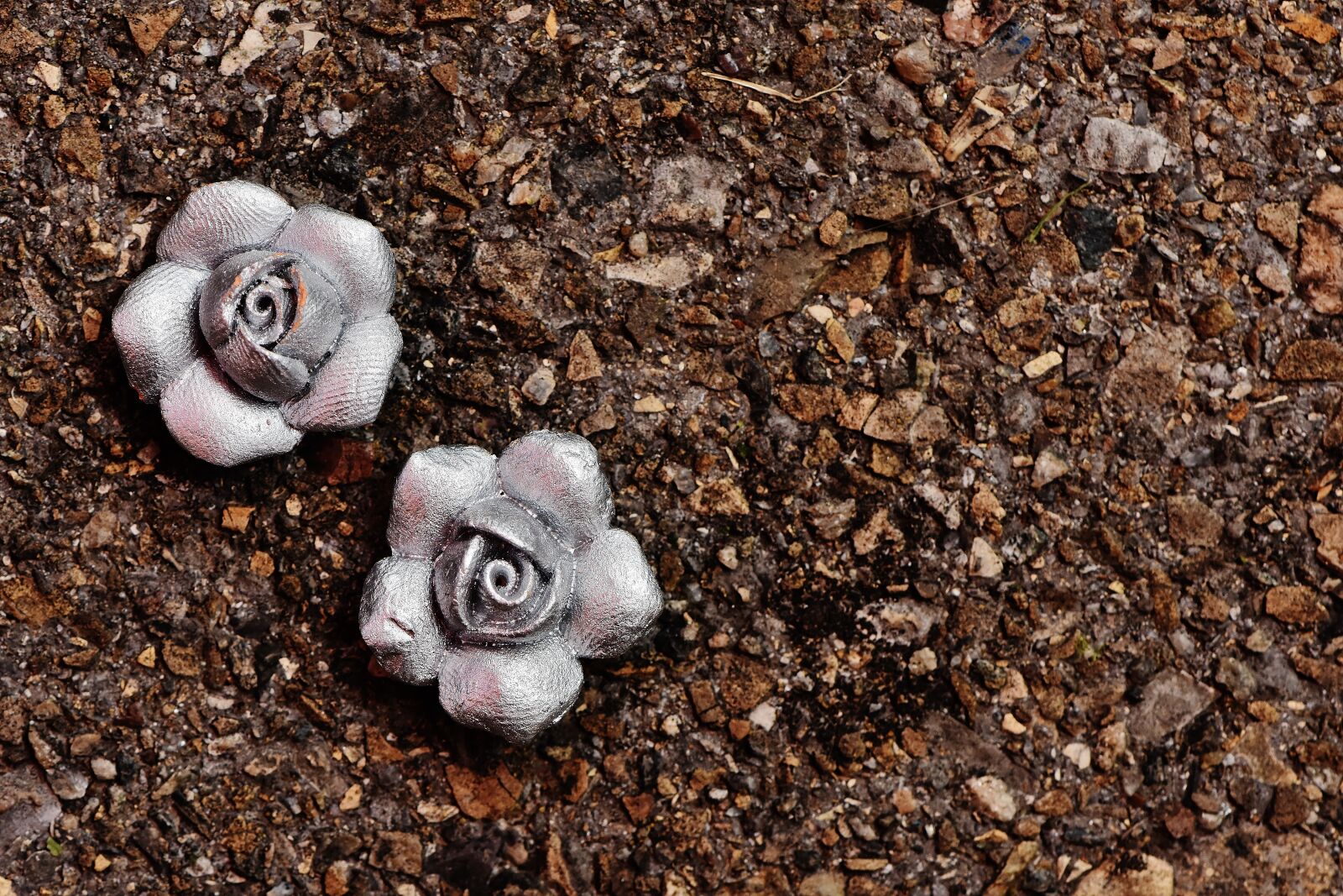 Nikon D7200 sample photo. Roses, silver, flowers photography