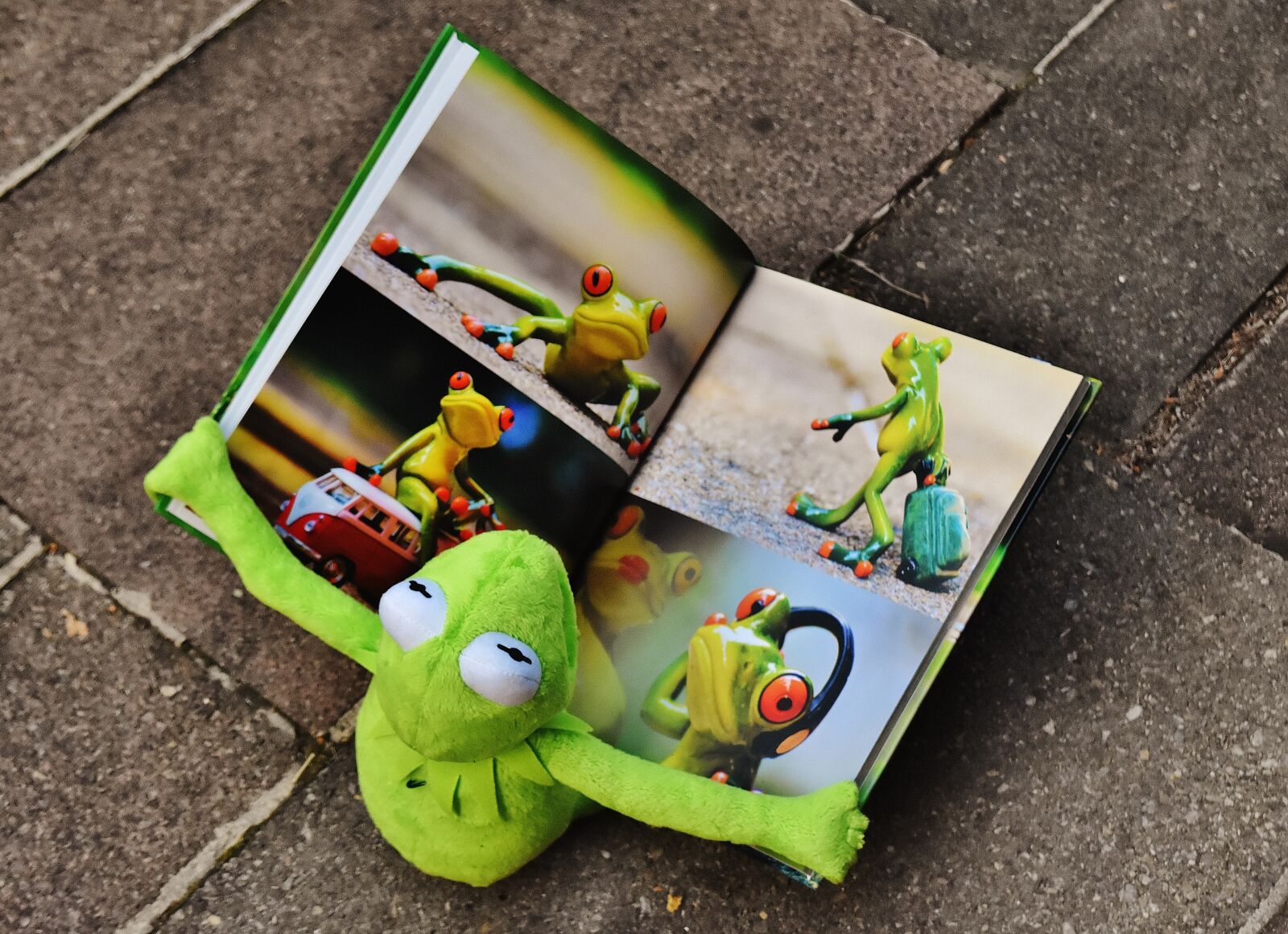 Nikon D7200 sample photo. Kermit, book, picture book photography