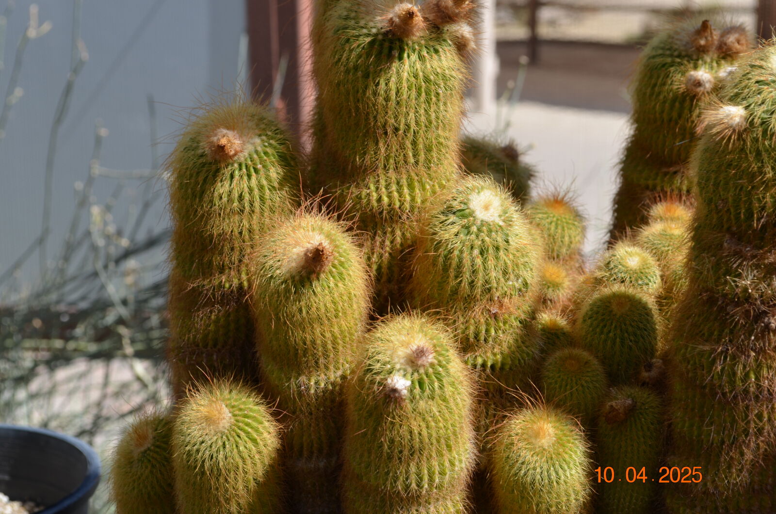 Nikon D5100 sample photo