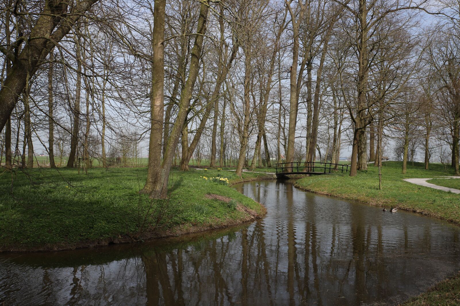 Canon EOS 6D Mark II sample photo. Landscape, nature, pond photography