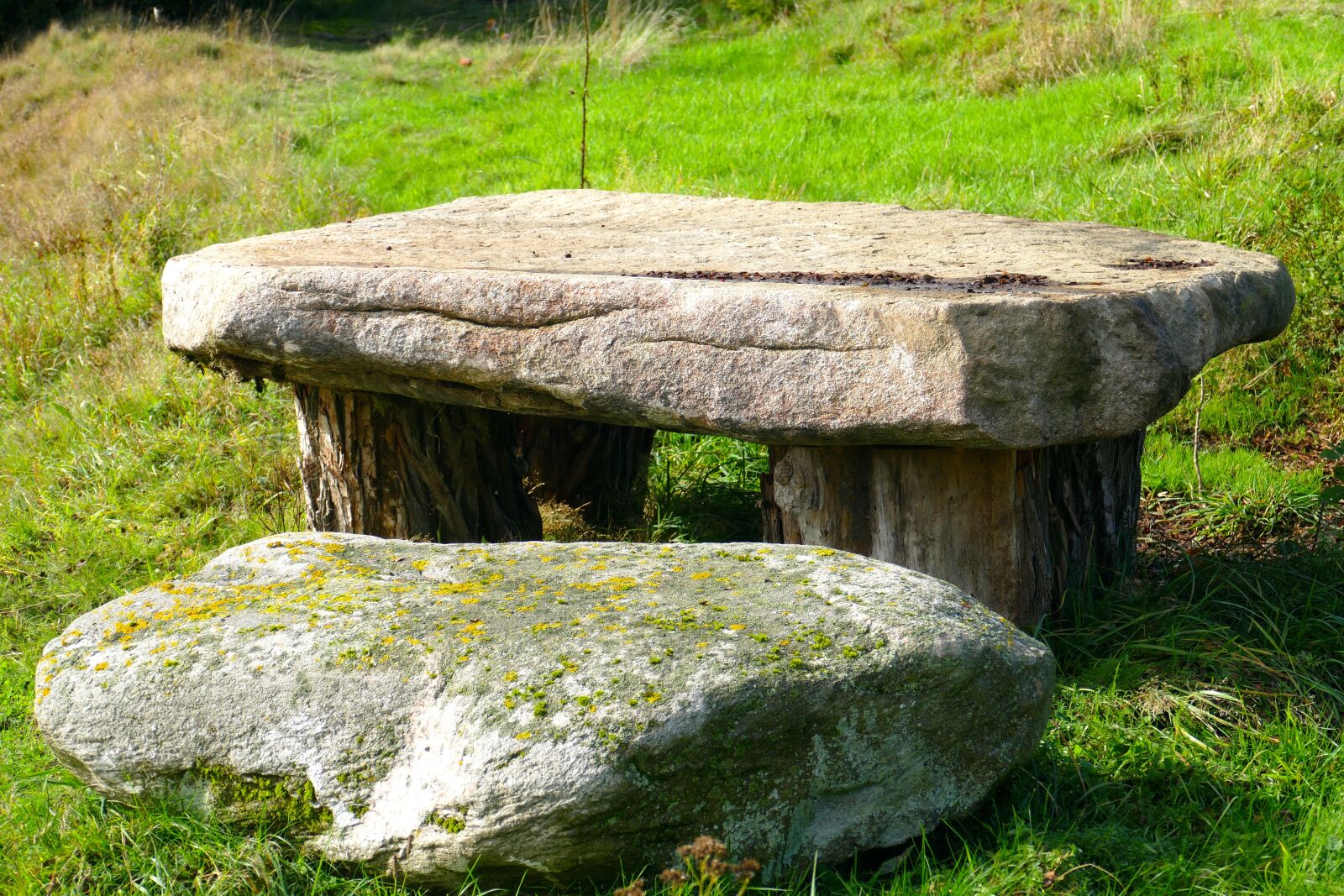 Panasonic Lumix DMC-FZ1000 sample photo. Stone table, table, bank photography