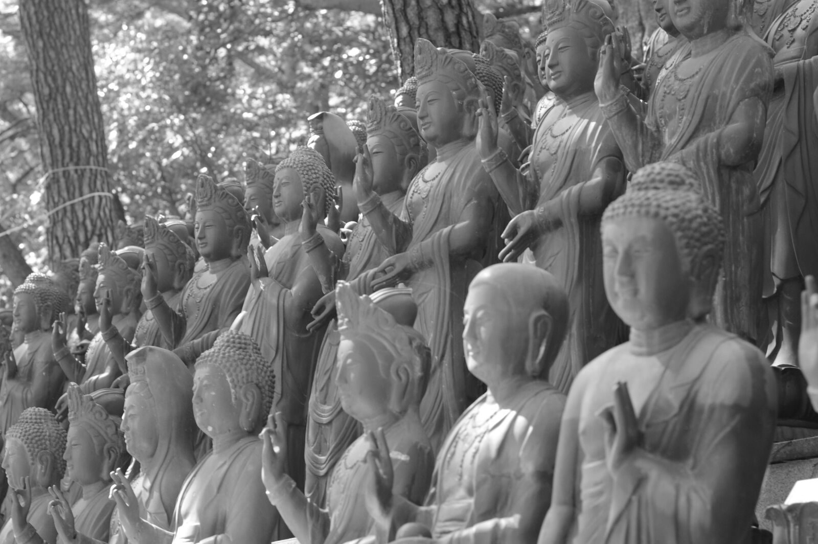 Nikon D3200 sample photo. Buddha statues, buddhism, si 廟 photography