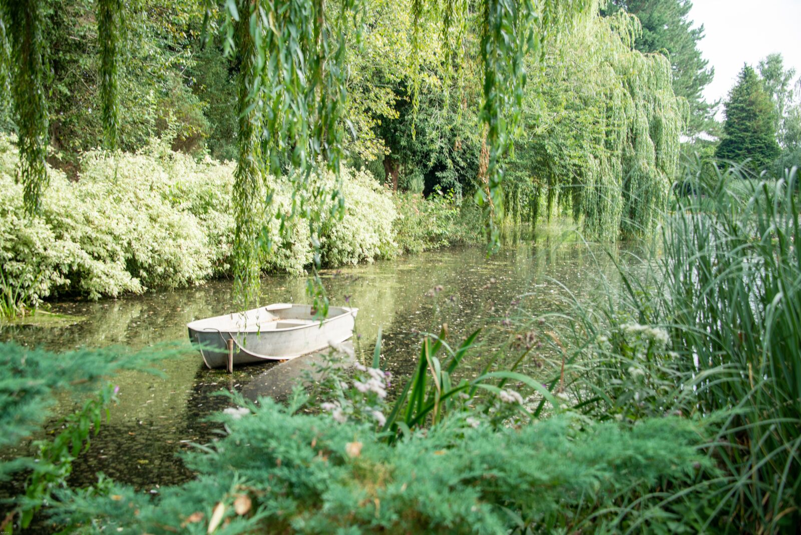 Nikon D800 sample photo. River, boat, trees photography