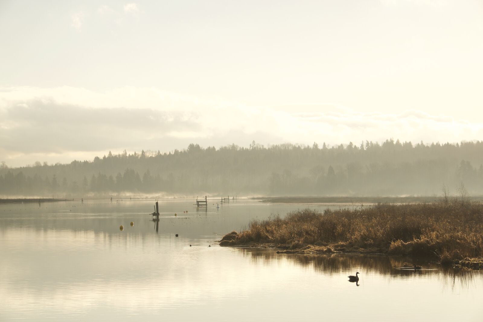 Sony E 55-210mm F4.5-6.3 OSS sample photo. Burnaby lake, british columbia photography