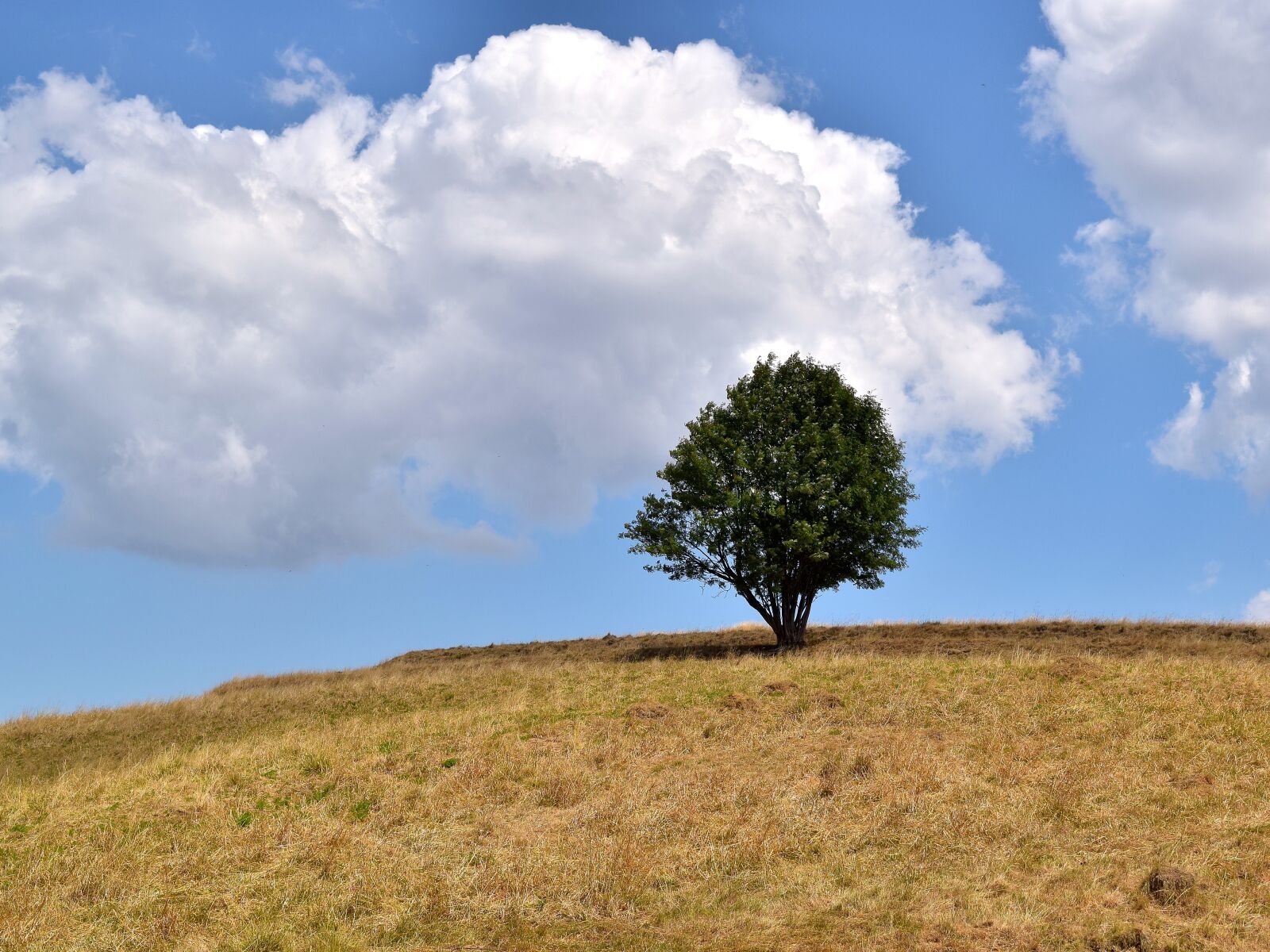 Nikon D5300 sample photo. Tree, mountain, clouds photography