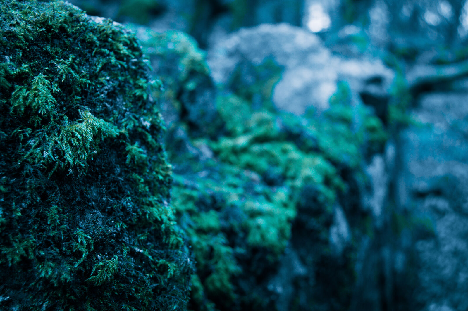 Nikon D3200 sample photo. Aqua, autumn, blue, crimson photography
