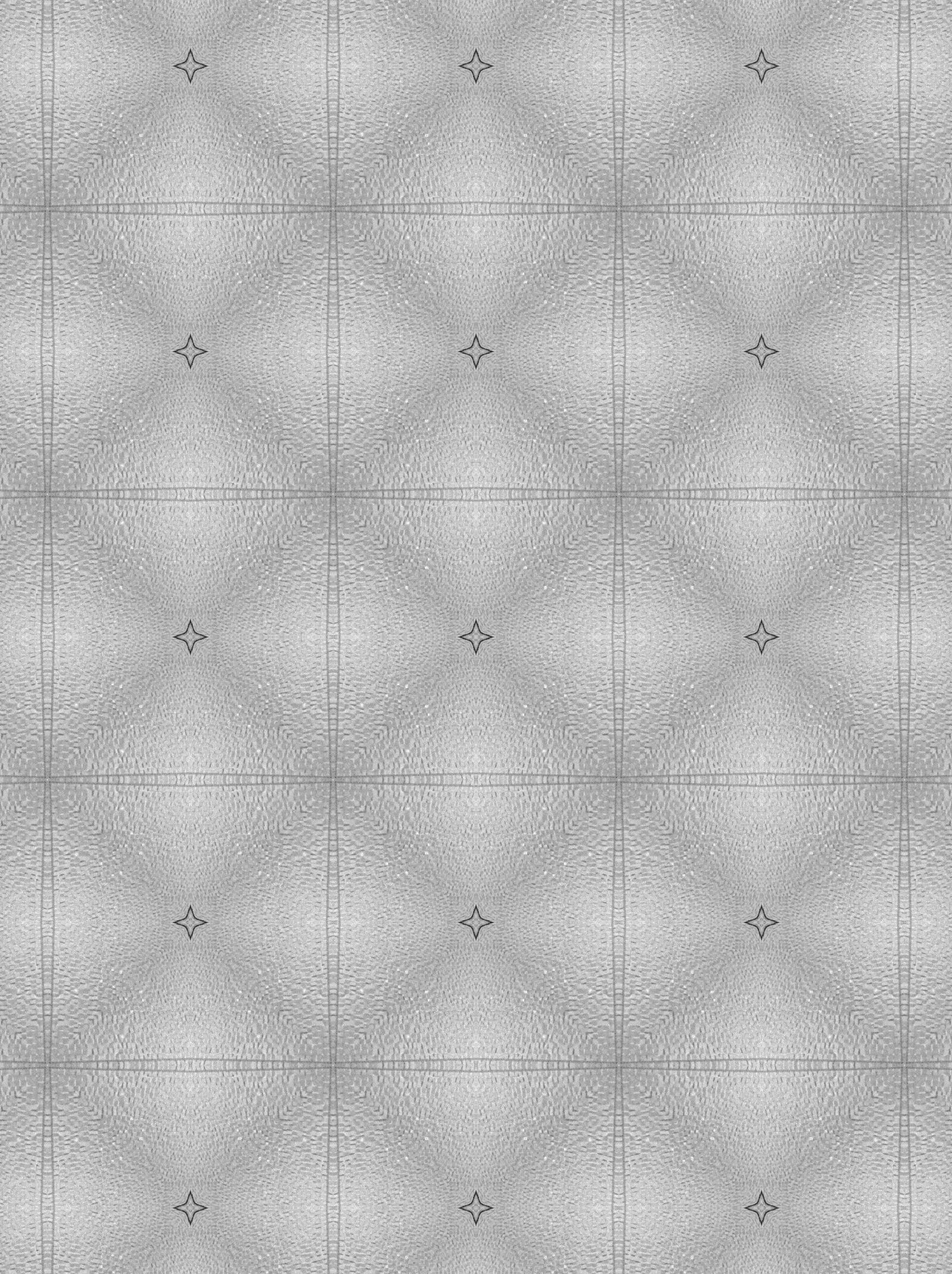 Dapper Owl KaleidaCam sample photo. Black, white, star photography