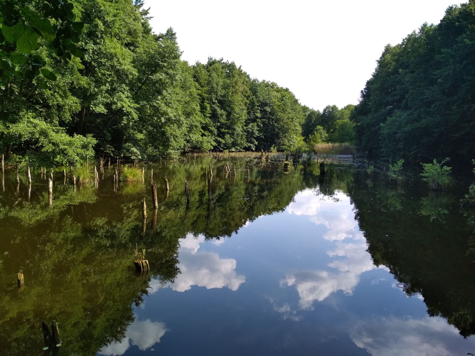 Xiaomi Redmi 4X sample photo. Lake, hungary, landscape photography