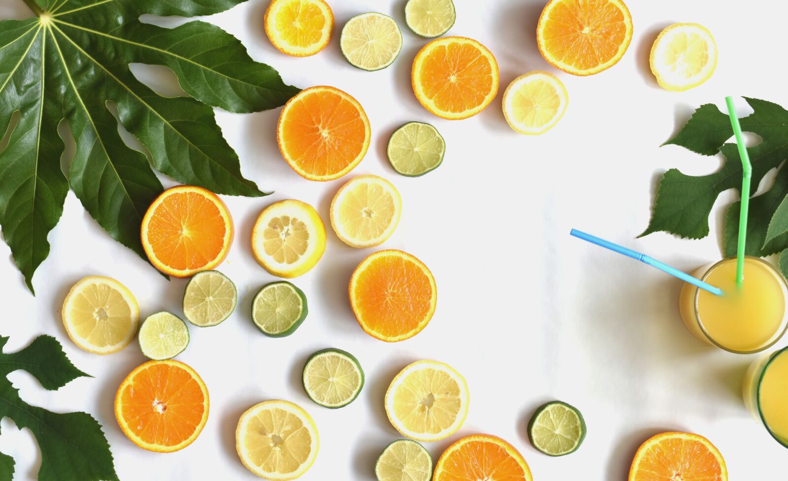 Nikon D3400 sample photo. Citrus, fruits, slices photography