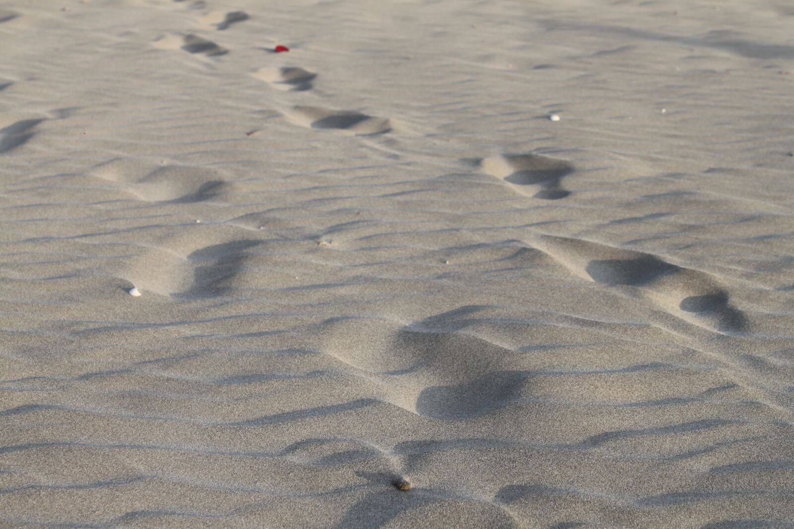 Canon EOS 500D (EOS Rebel T1i / EOS Kiss X3) sample photo. Sand, footprints, walk photography