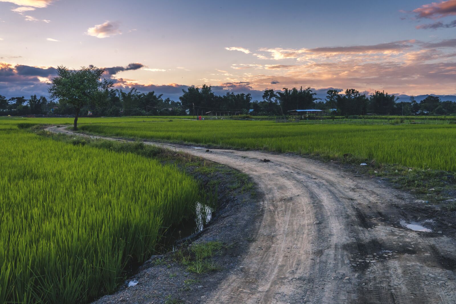 Sony a9 + Sony FE 24-70mm F2.8 GM sample photo. Road, village, landscape photography