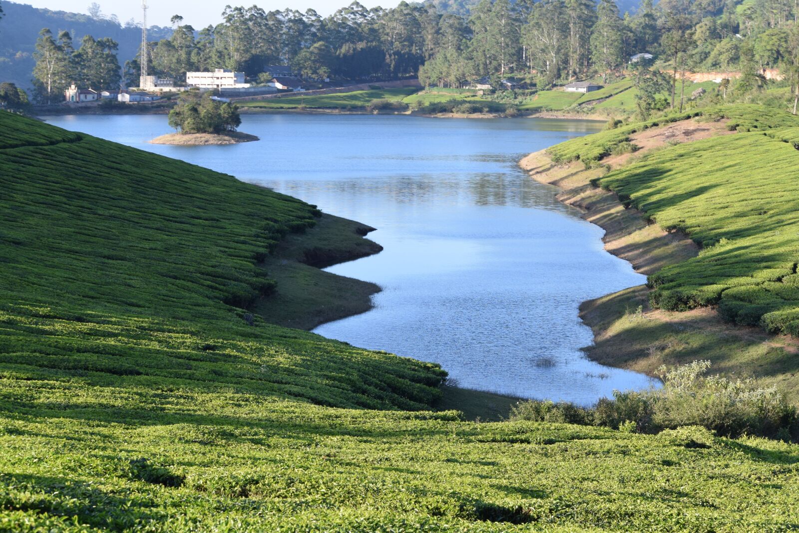Nikon D3300 sample photo. Lake, tea estate, green photography