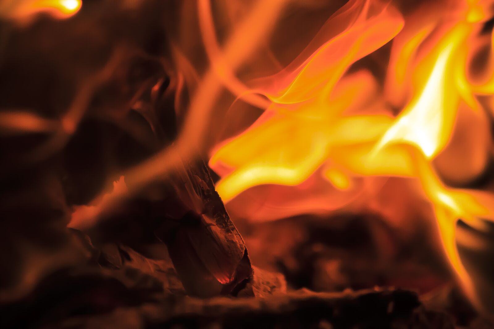 Canon EOS 50D sample photo. Fire, embers, burn photography