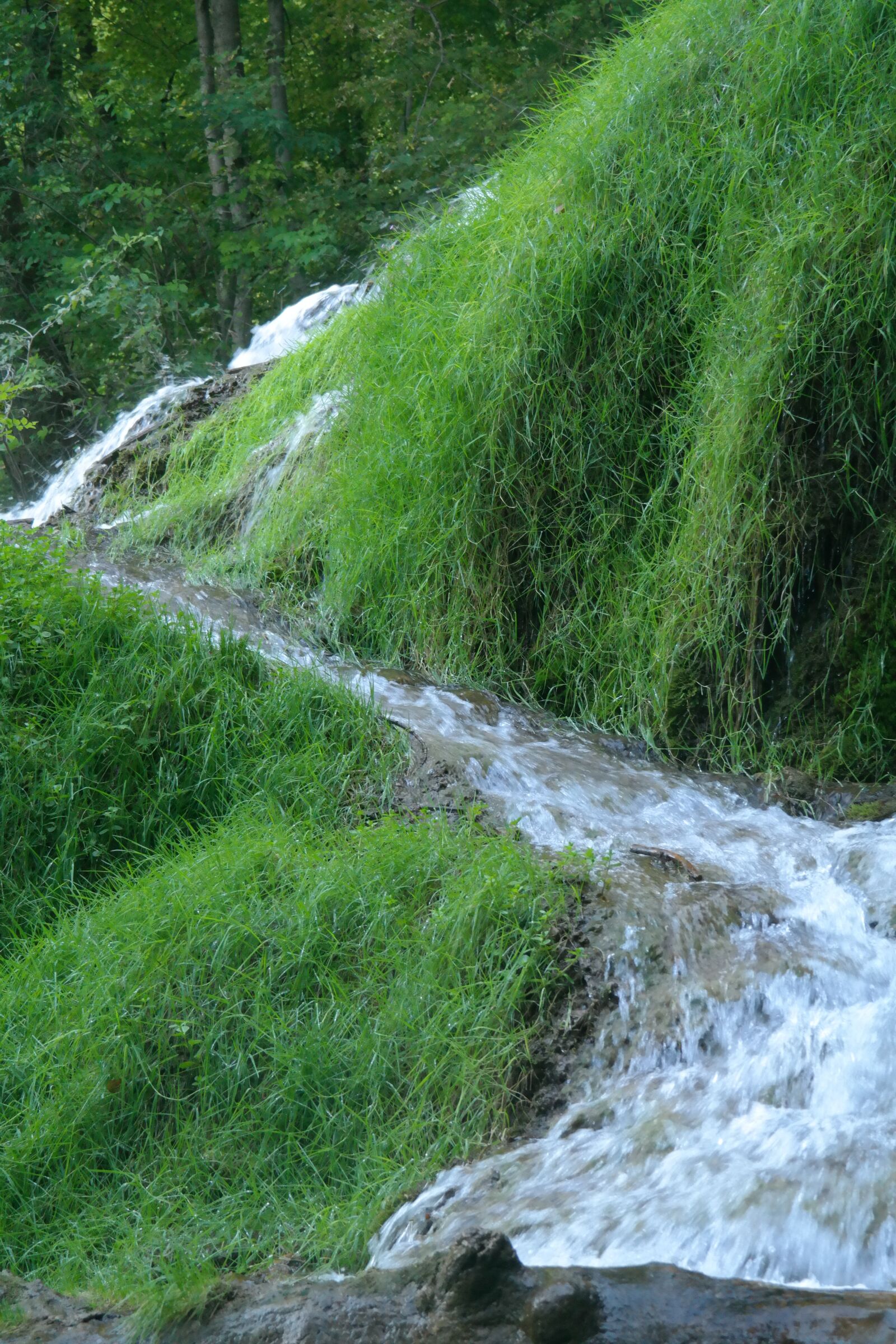 Samsung NX300 sample photo. Brook, water, flow photography