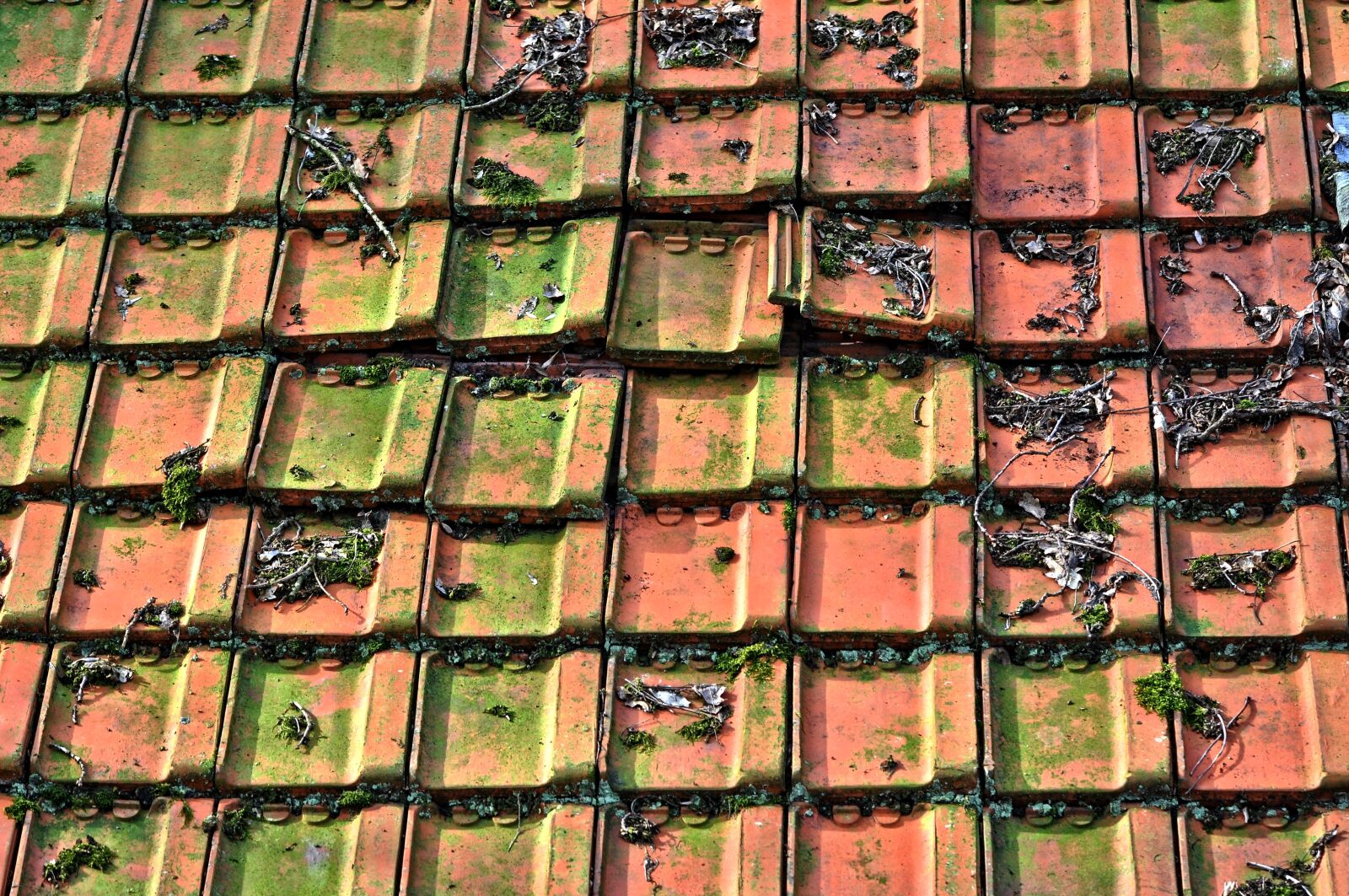 Nikon D90 sample photo. Roof, tiles, tiled roof photography