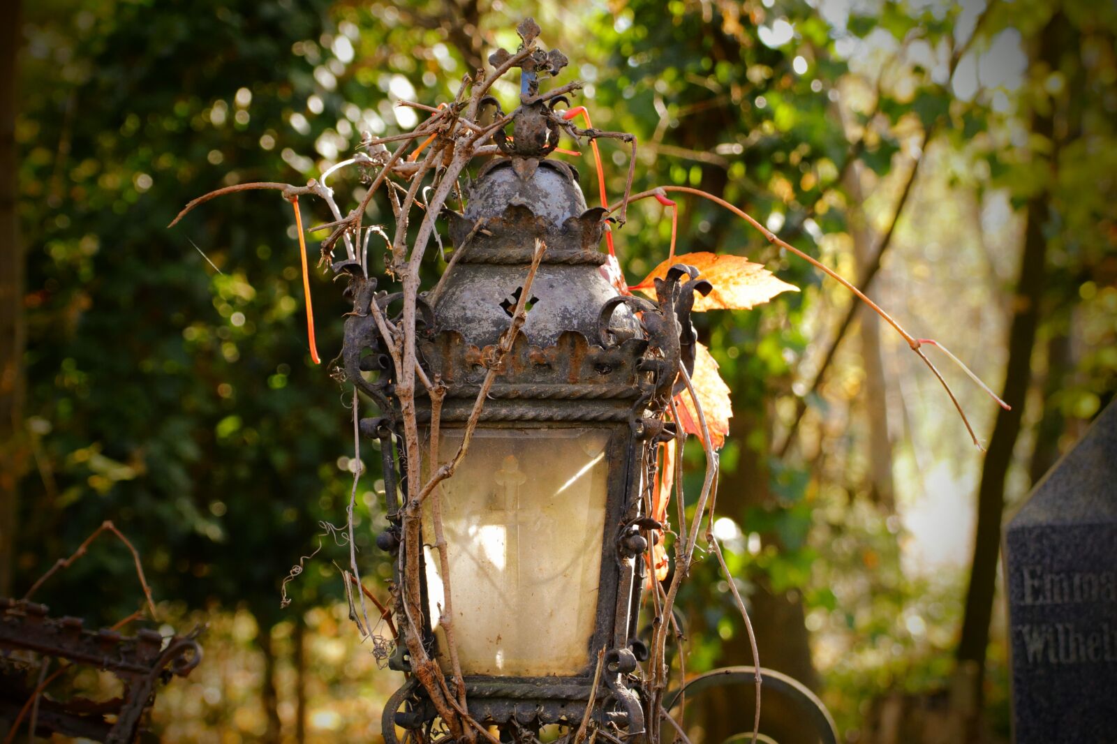 Tamron SP 35mm F1.8 Di VC USD sample photo