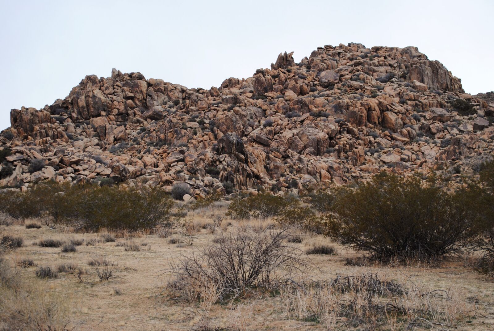 Nikon D3000 sample photo. Desert, nature, landscape photography