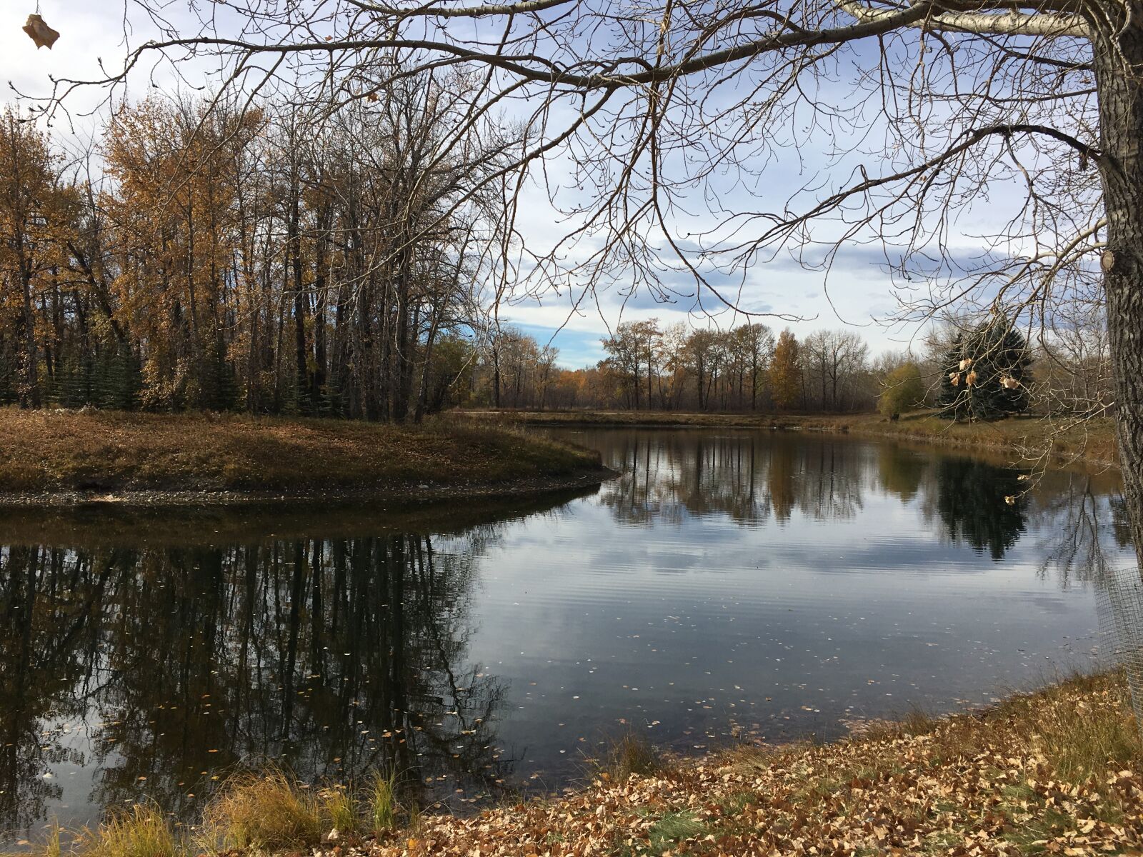 iPhone 6s back camera 4.15mm f/2.2 sample photo. Autumn, autumn, colours, lake photography