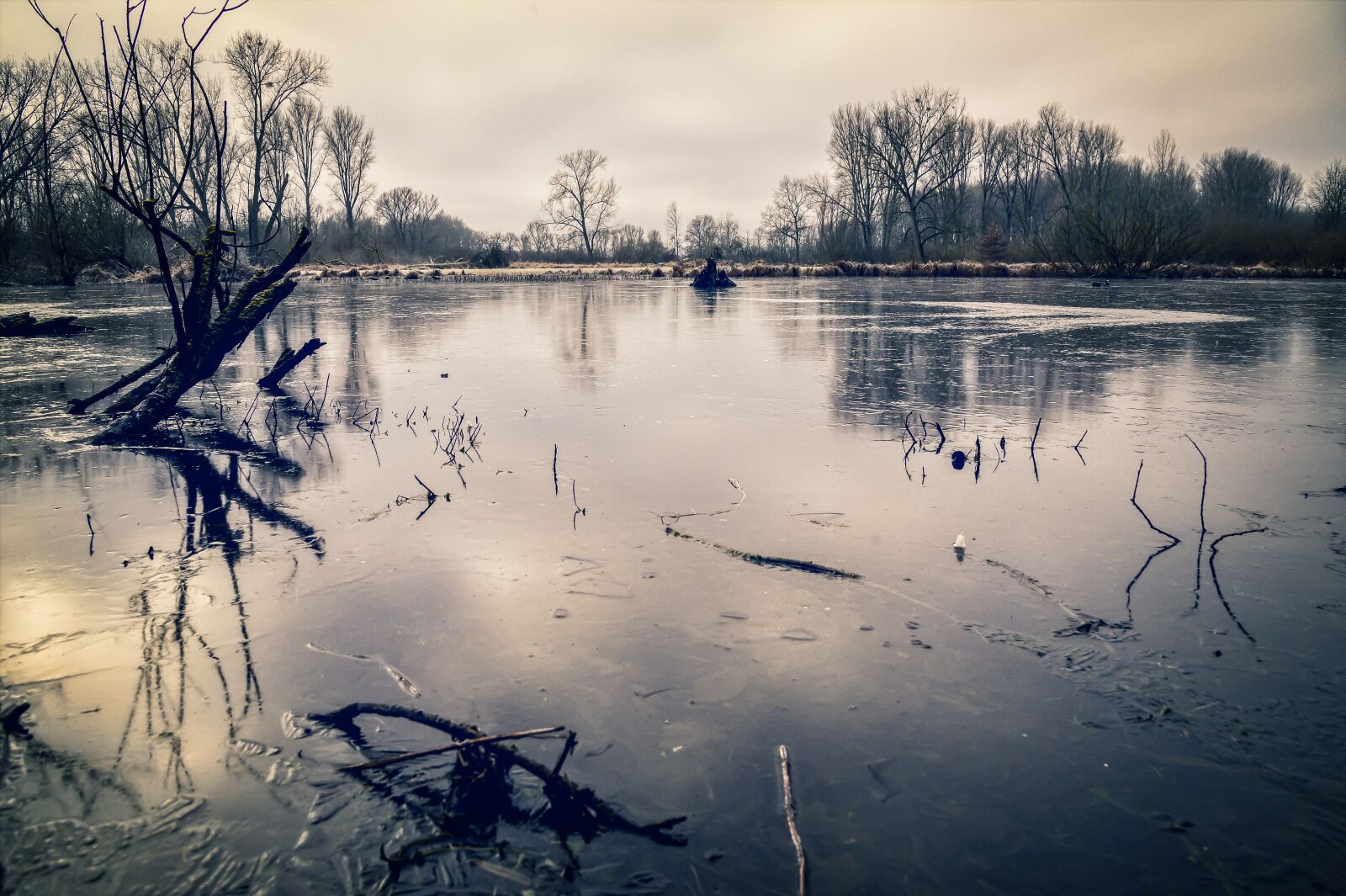 Nikon Z6 sample photo. Lake, frozen, ice photography