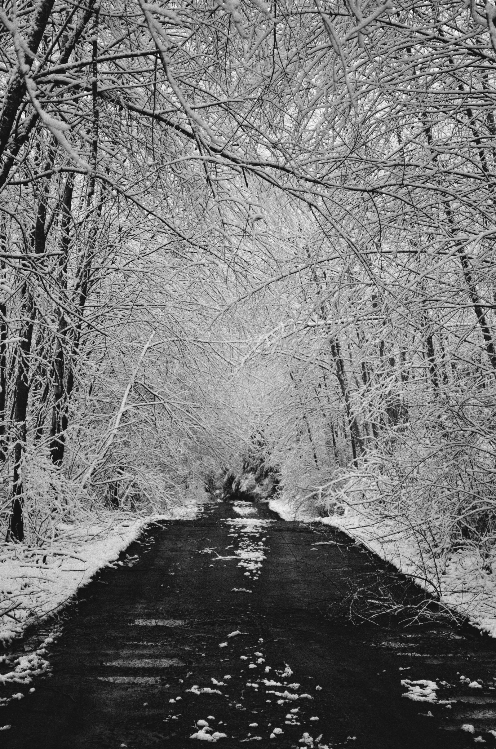 Nikon D5100 sample photo. Snow, road, path photography