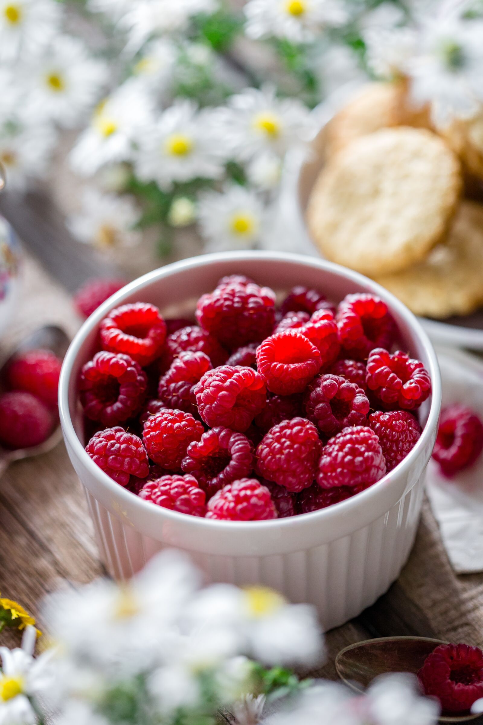 Canon EF 100mm F2.8 Macro USM sample photo. Raspberry, berry, ripe photography