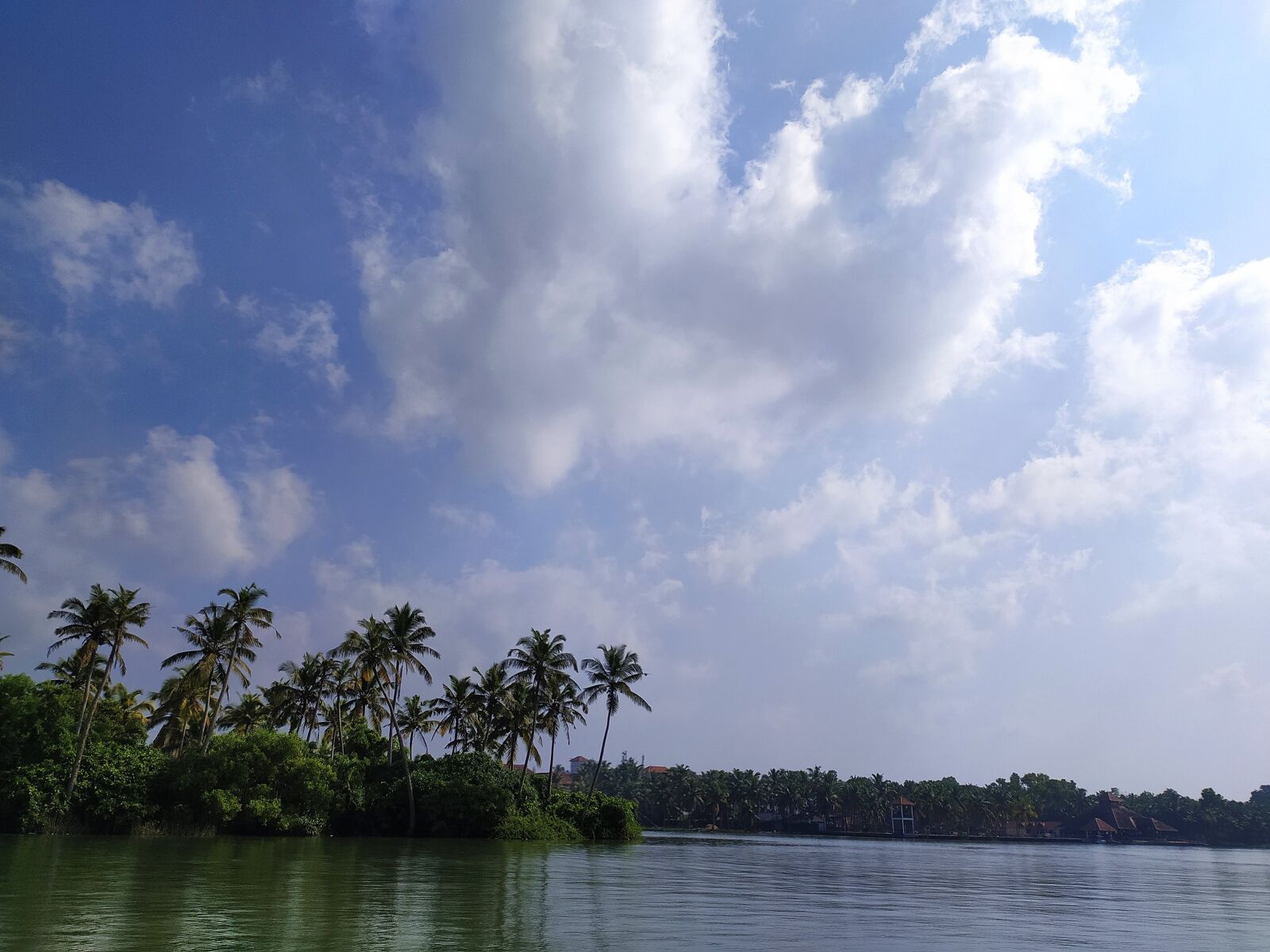 Xiaomi Redmi Note 8 sample photo. Lake, coconut trees, waterbody photography