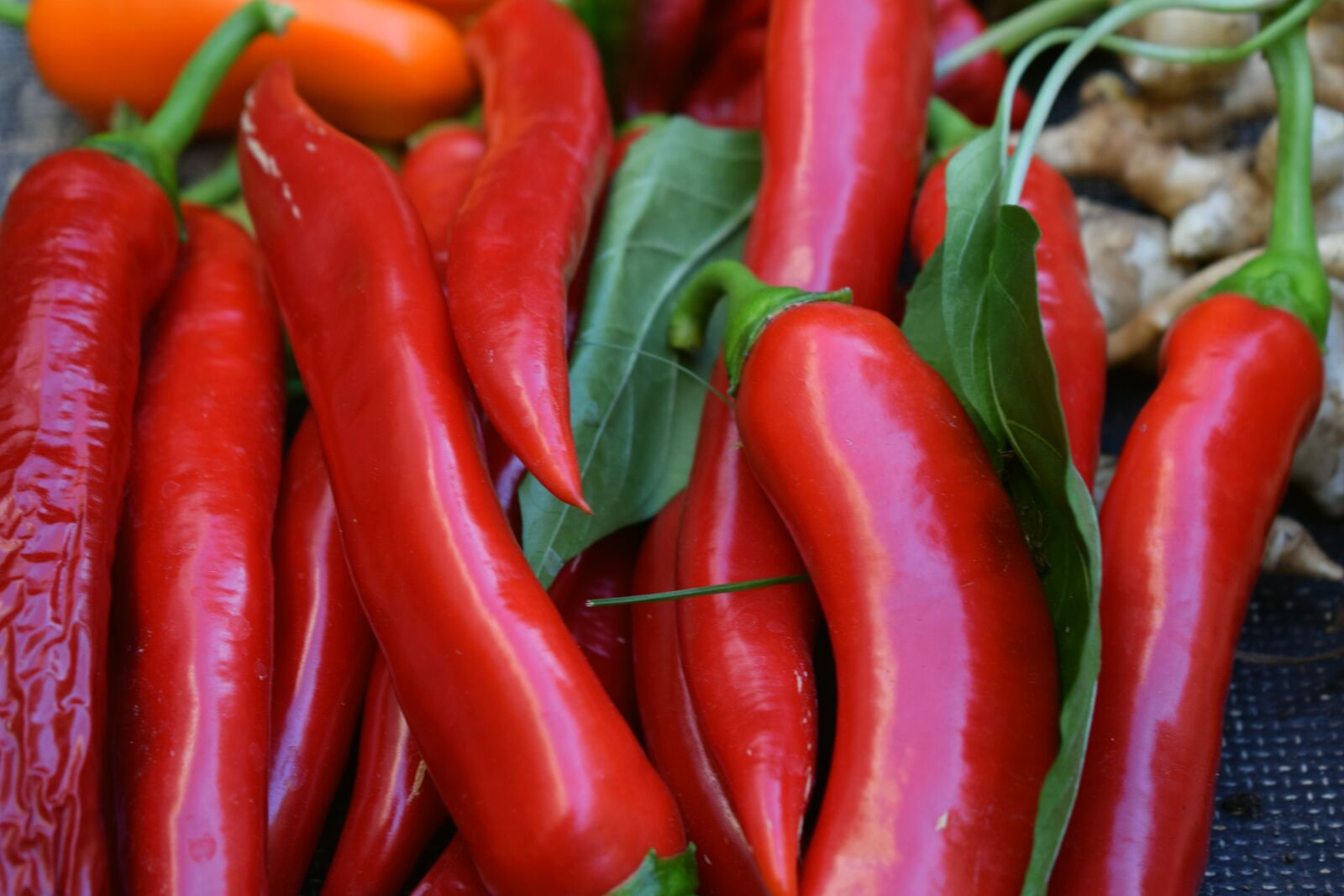 Nikon D3300 sample photo. Food, spice, vegetables photography