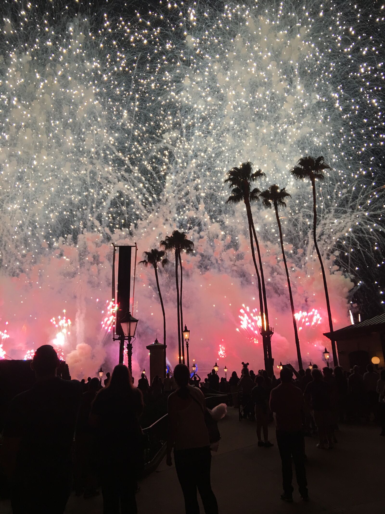 iPhone 6s Plus back camera 4.15mm f/2.2 sample photo. Fireworks, night, celebrate photography