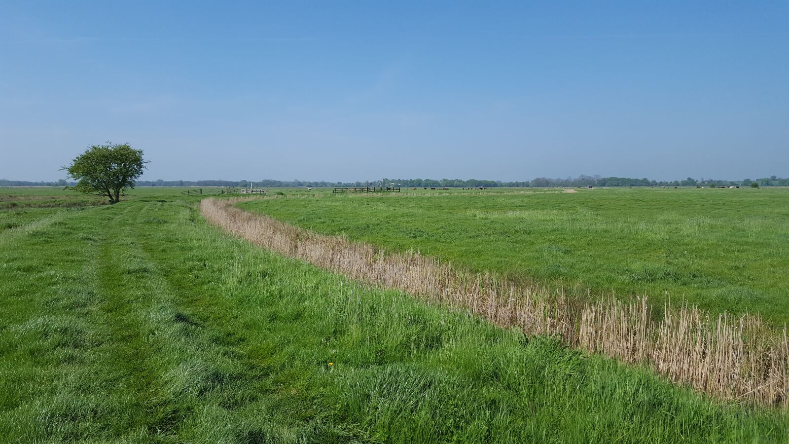 Samsung Galaxy S6 sample photo. Halvergate marshes, norfolk uk photography