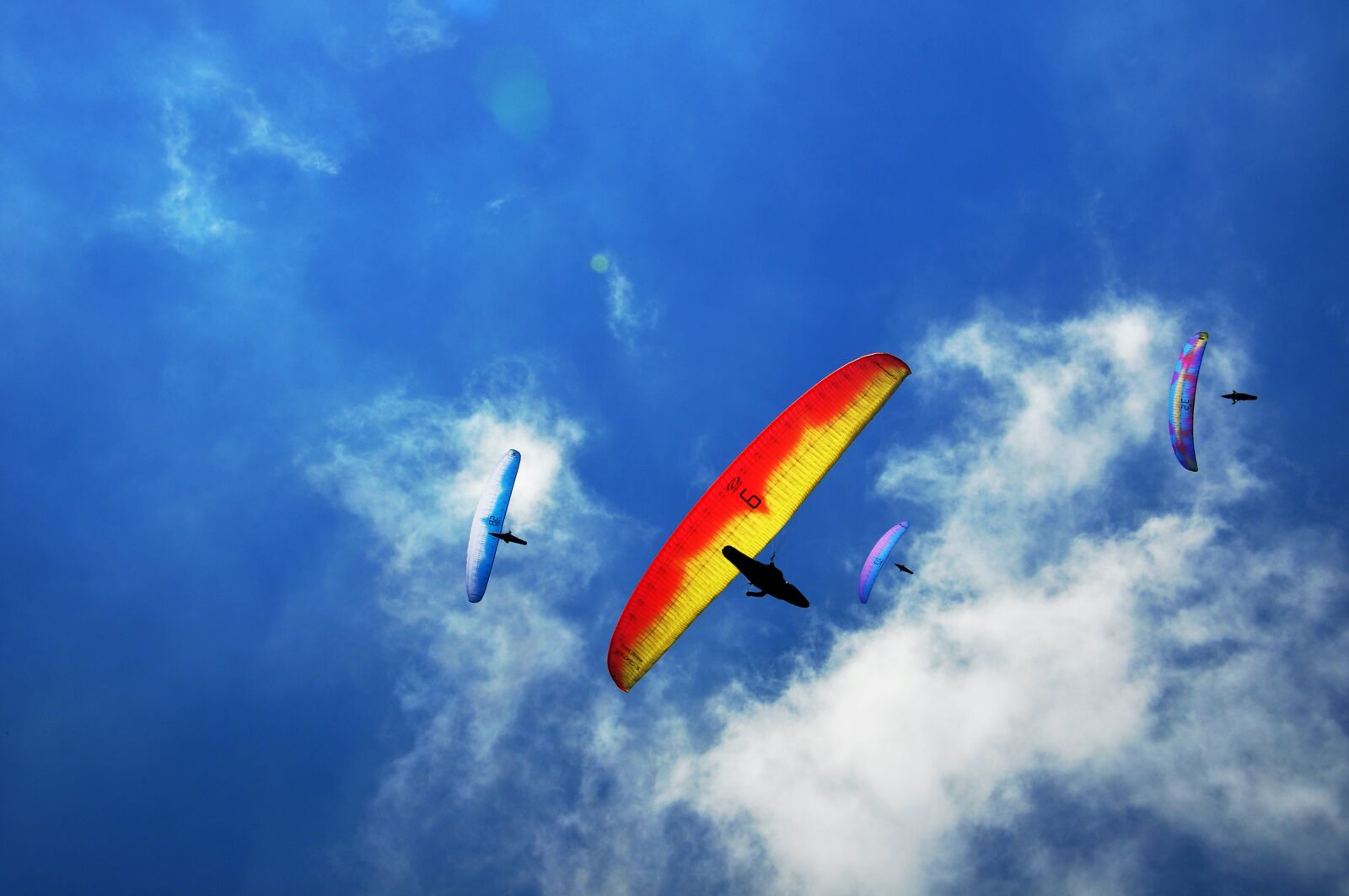 Nikon D5000 sample photo. Paragliding, wow, air photography