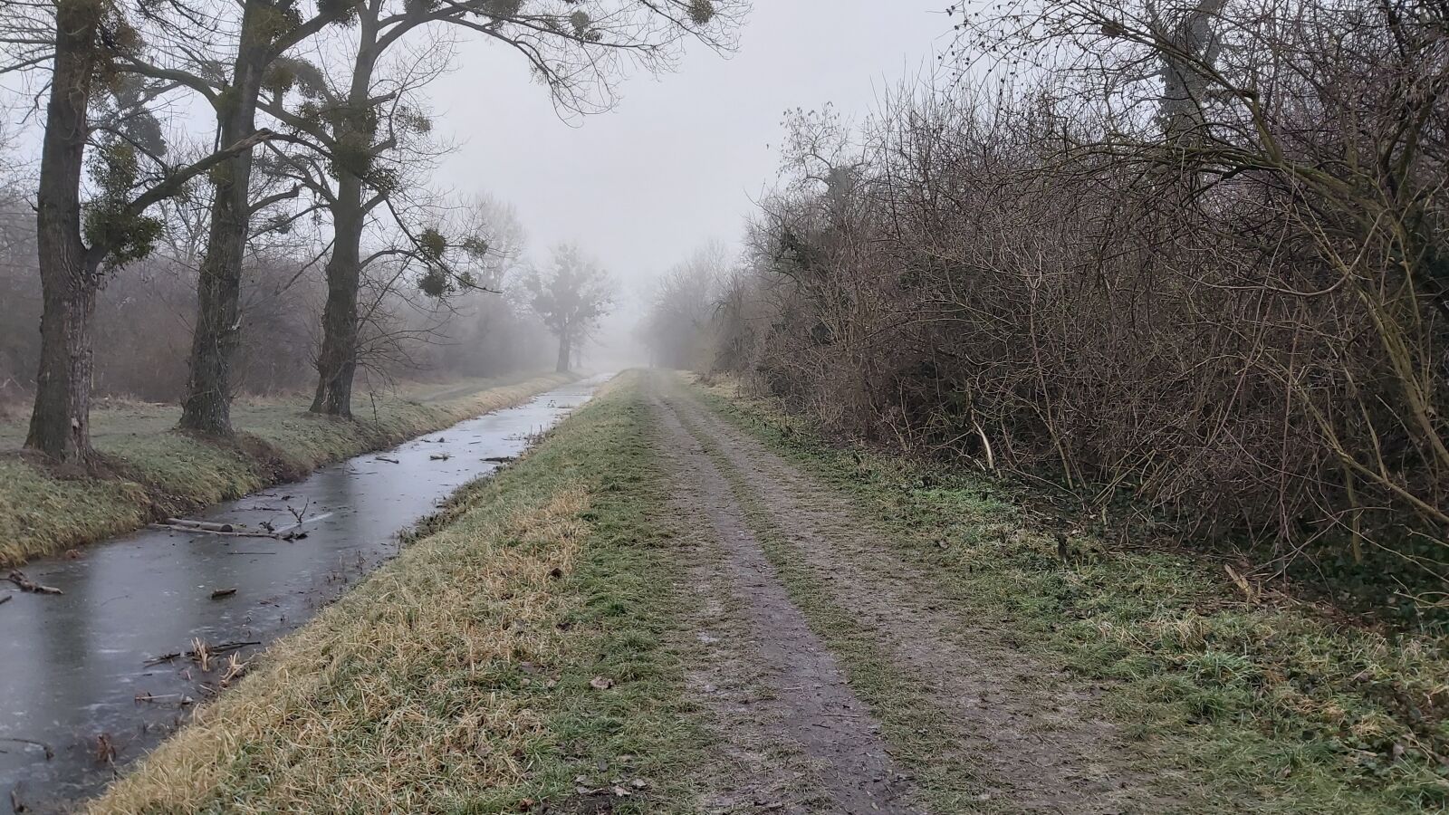 Samsung Galaxy A70 sample photo. Fog, no one, lonely photography