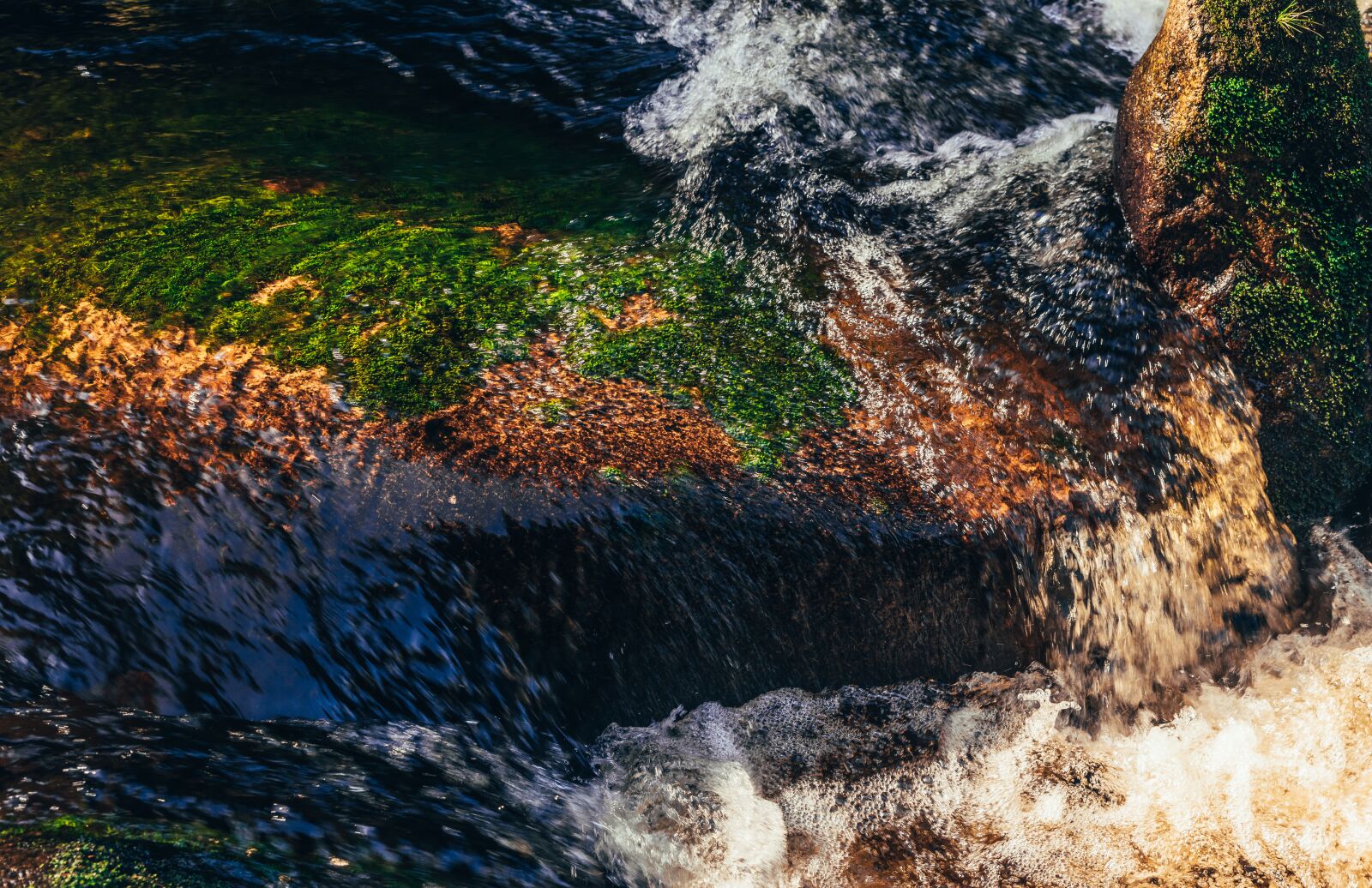 Nikon D810 sample photo. Autumn, water, stream photography