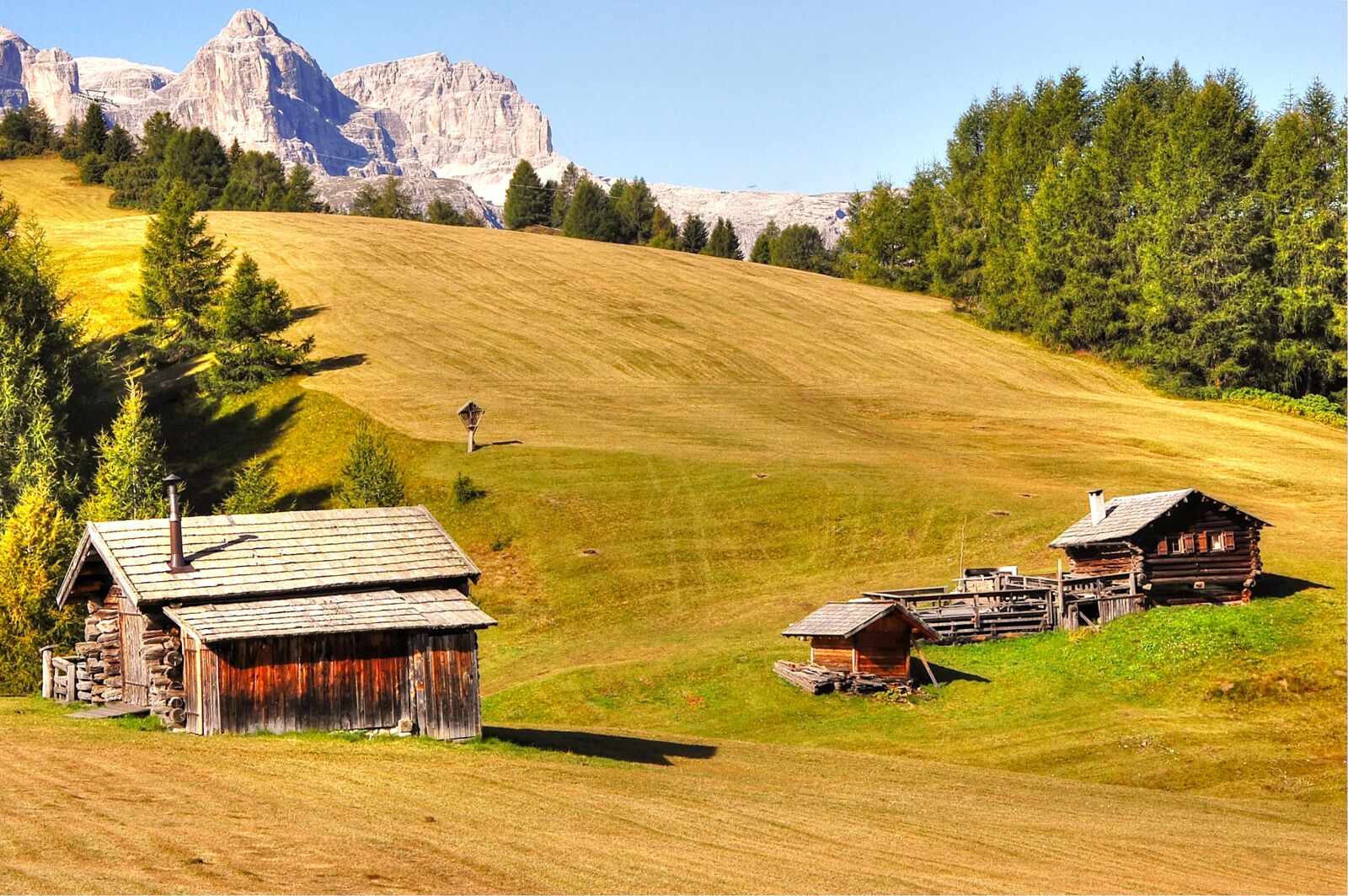 Nikon D40 sample photo. Pralongia, dolomites, alm photography